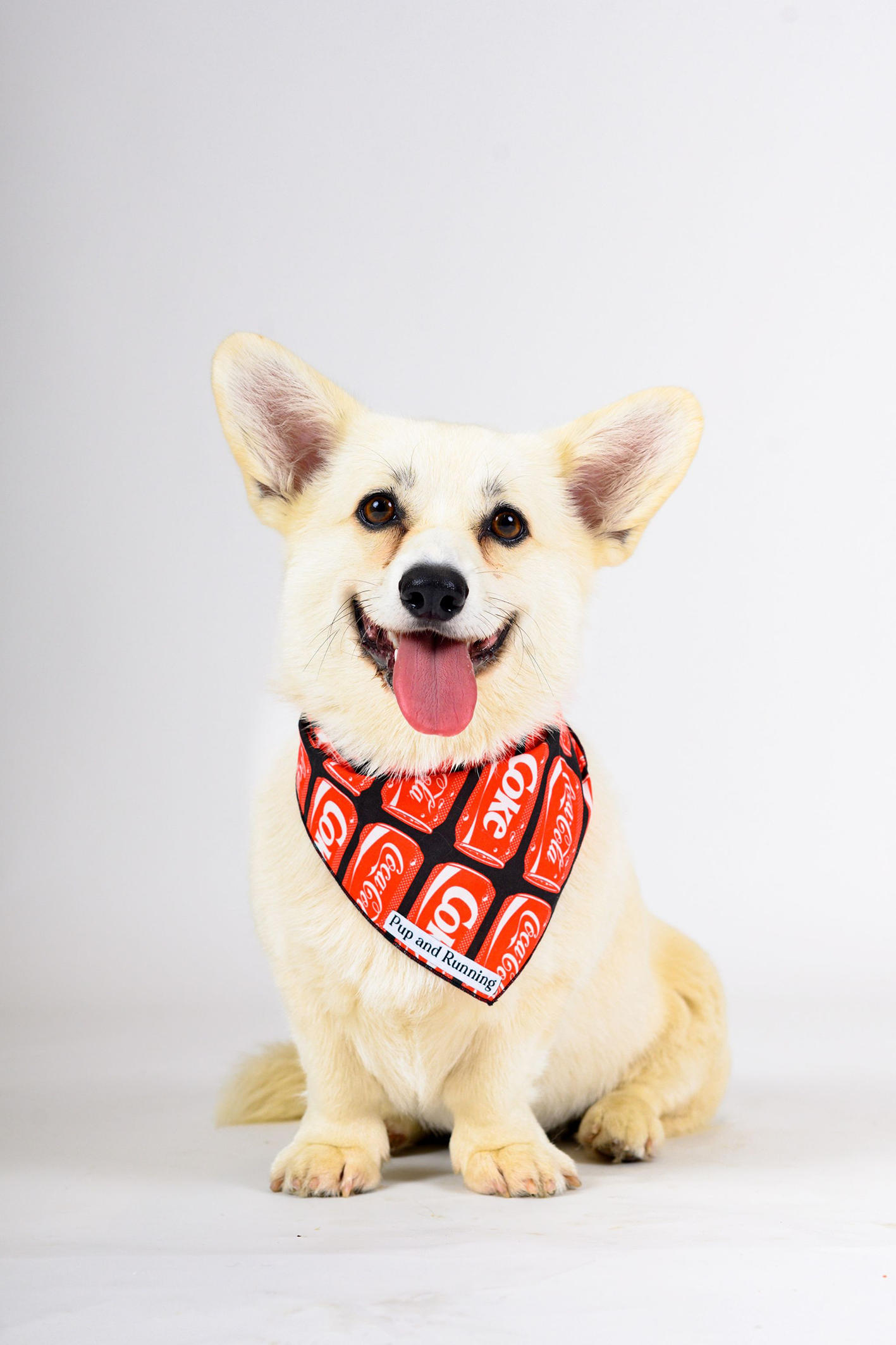 How to Choose the Perfect Bandana for Your Dog