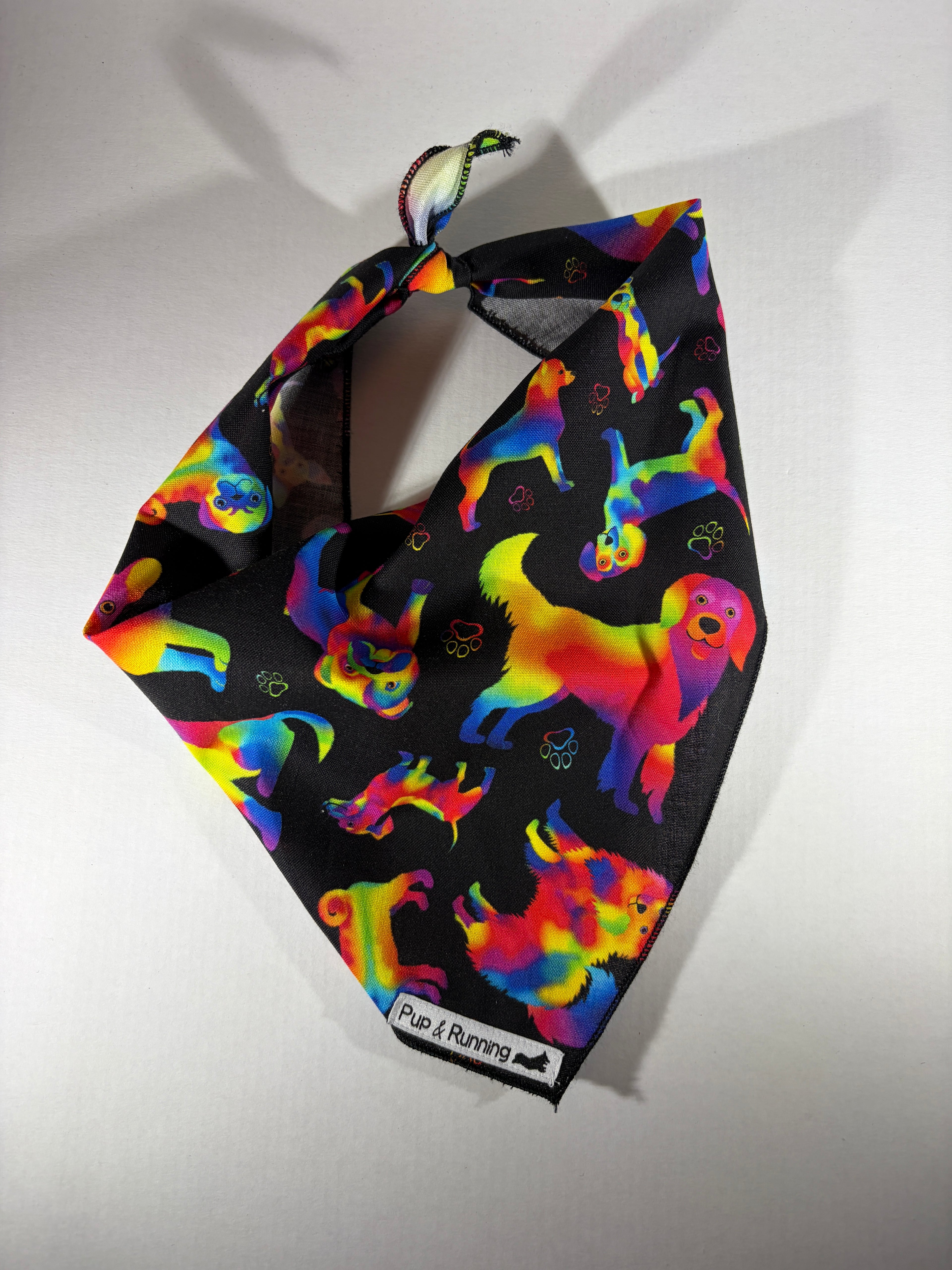 LGBT+ 🏳️‍🌈 supporter bandana