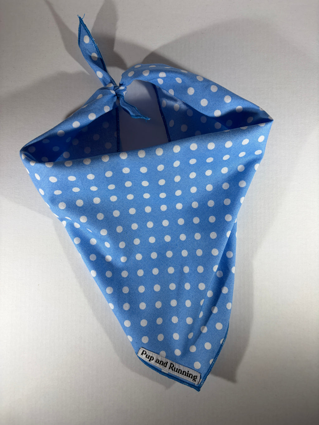 Blue Polka Dots bandana