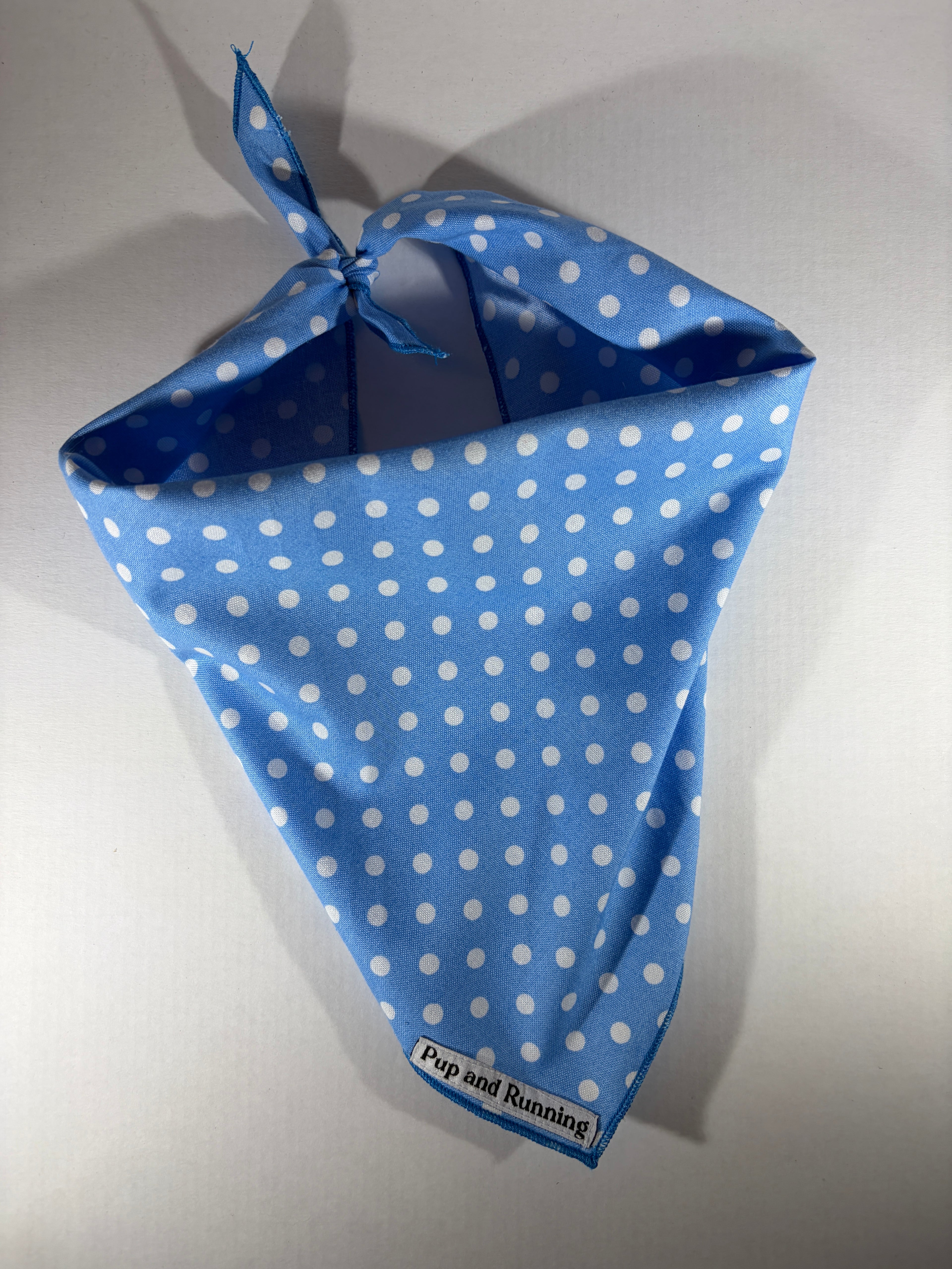 Blue Polka Dots bandana
