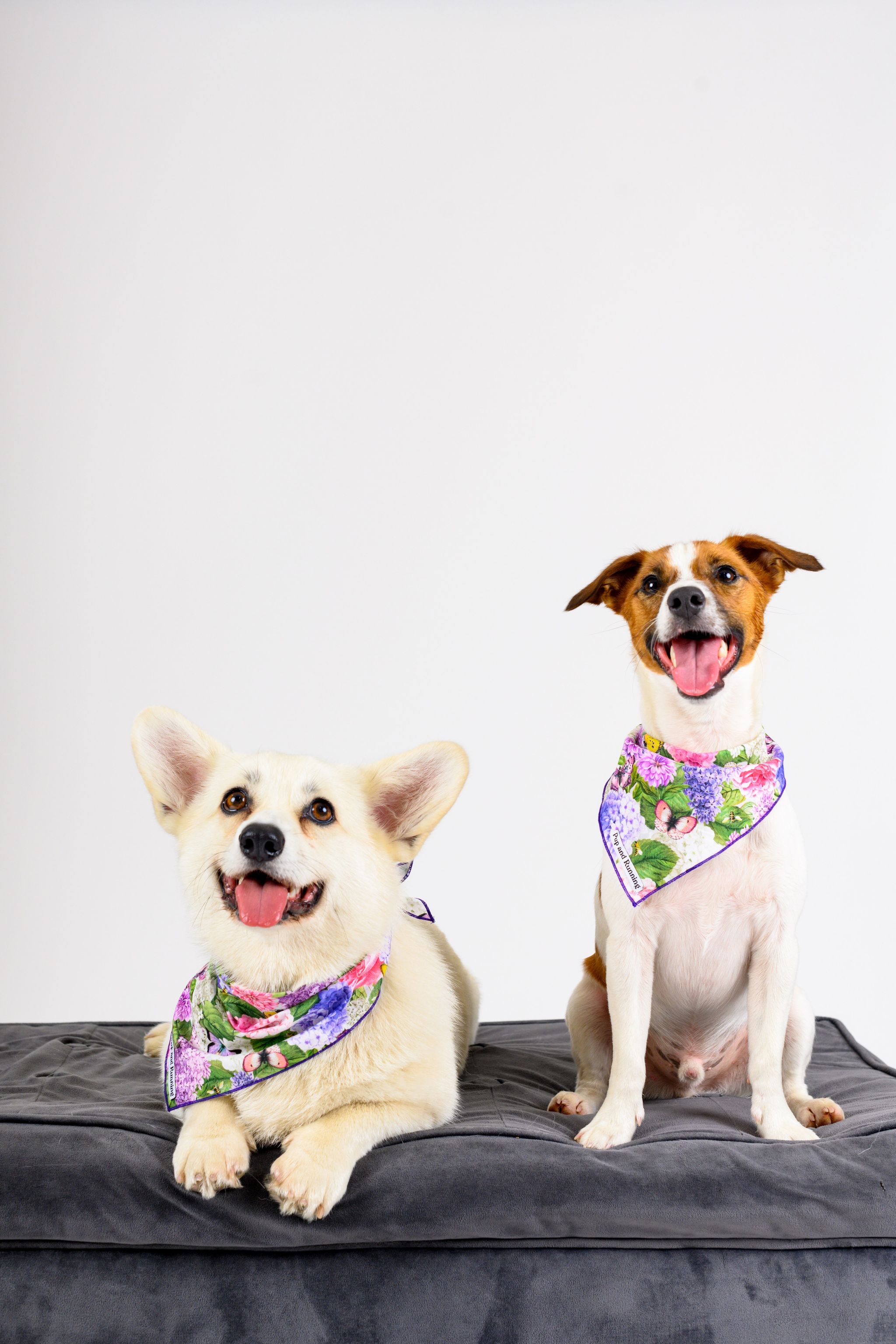 Bee’s in the Garden bandana