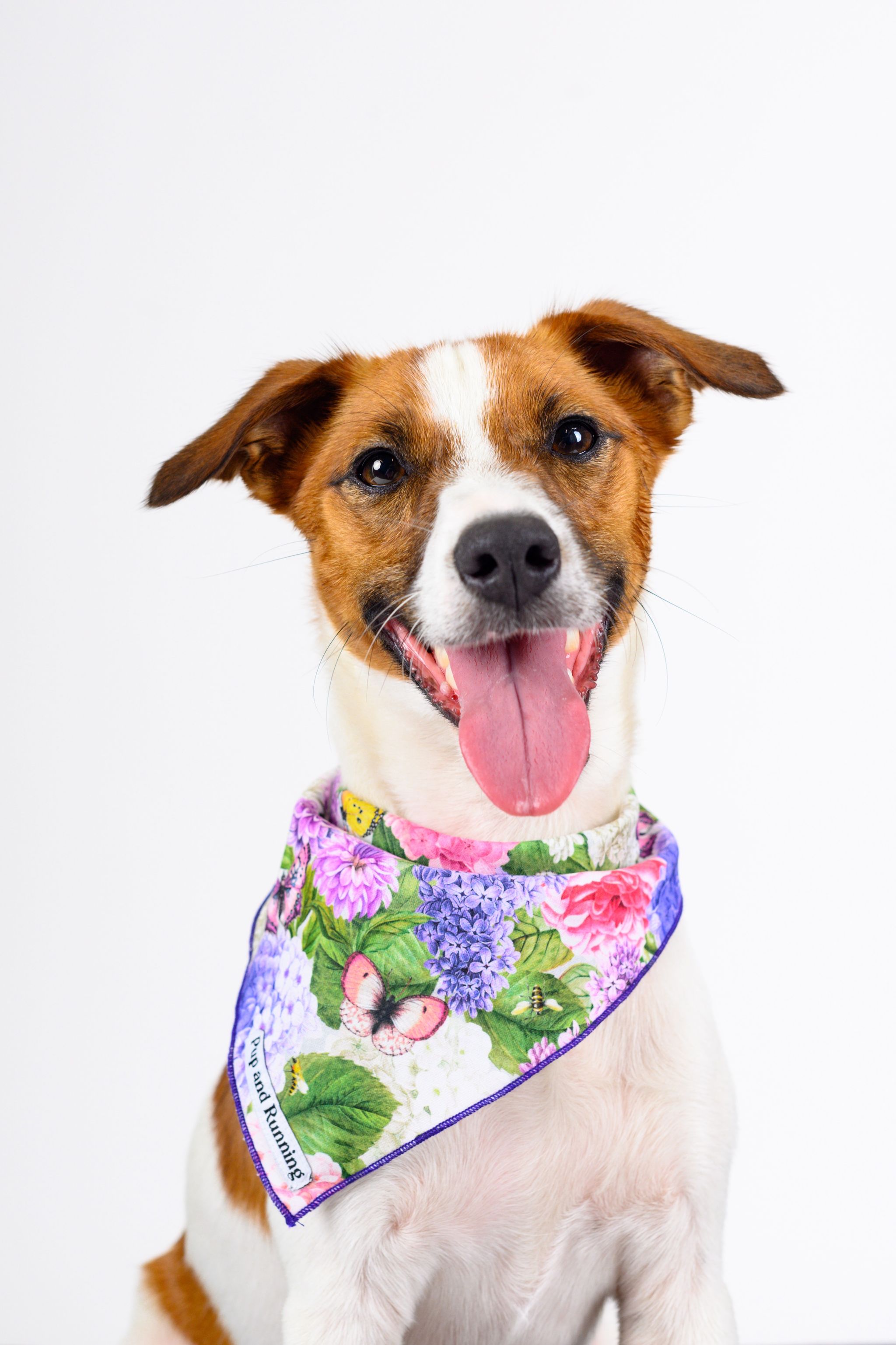 Bee’s in the Garden bandana