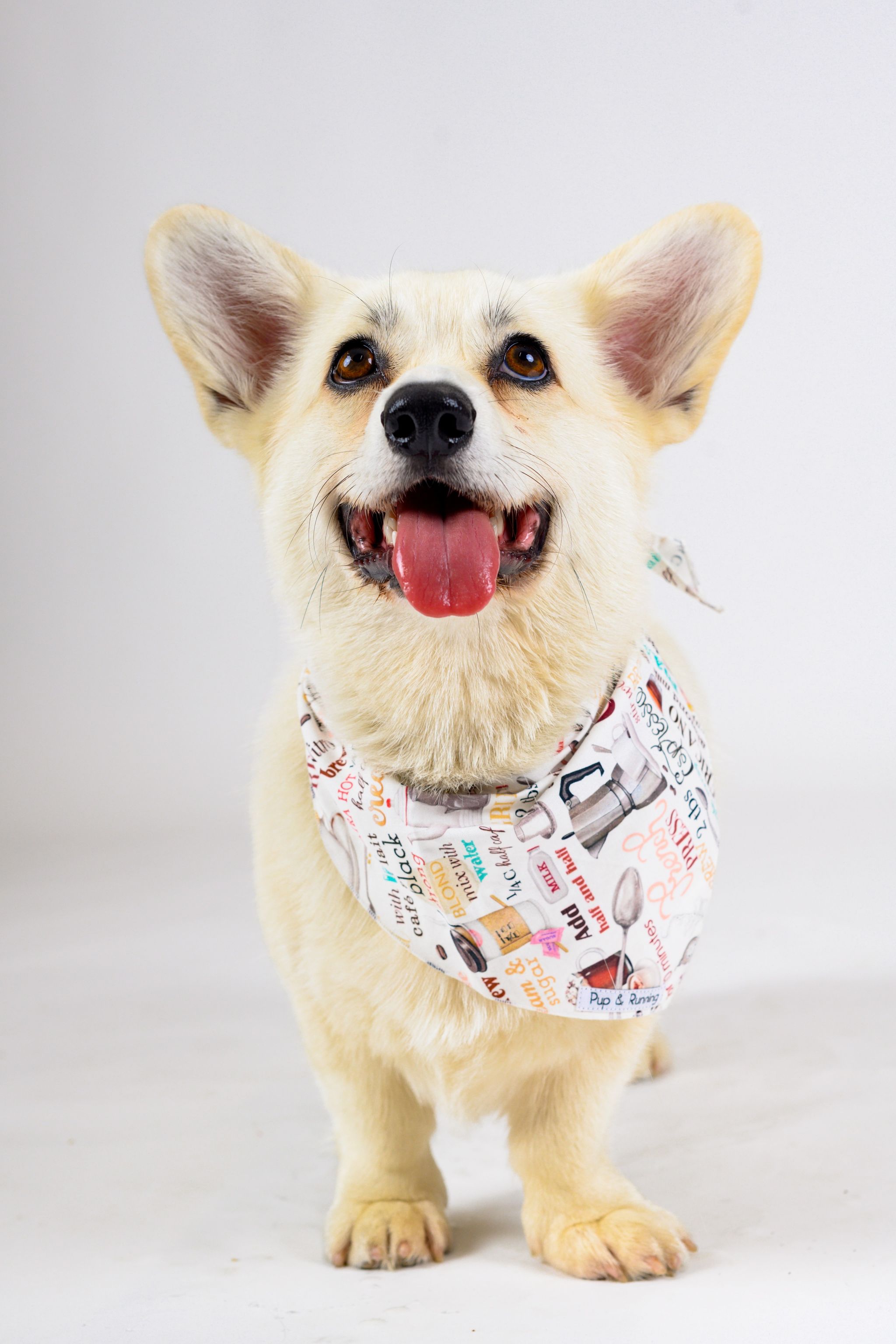 Coffee Snob bandana
