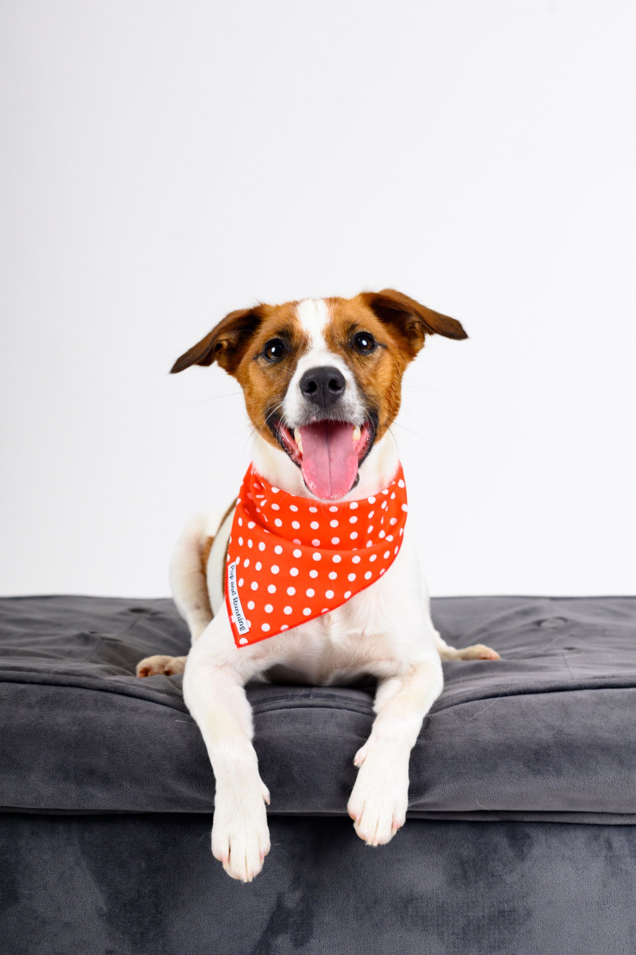 Red Polka Dots bandana