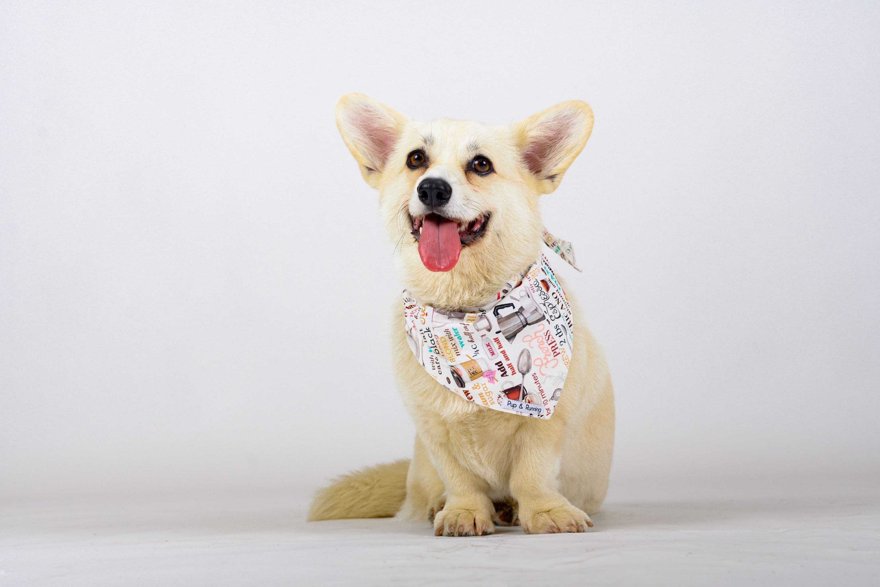 Coffee Snob bandana