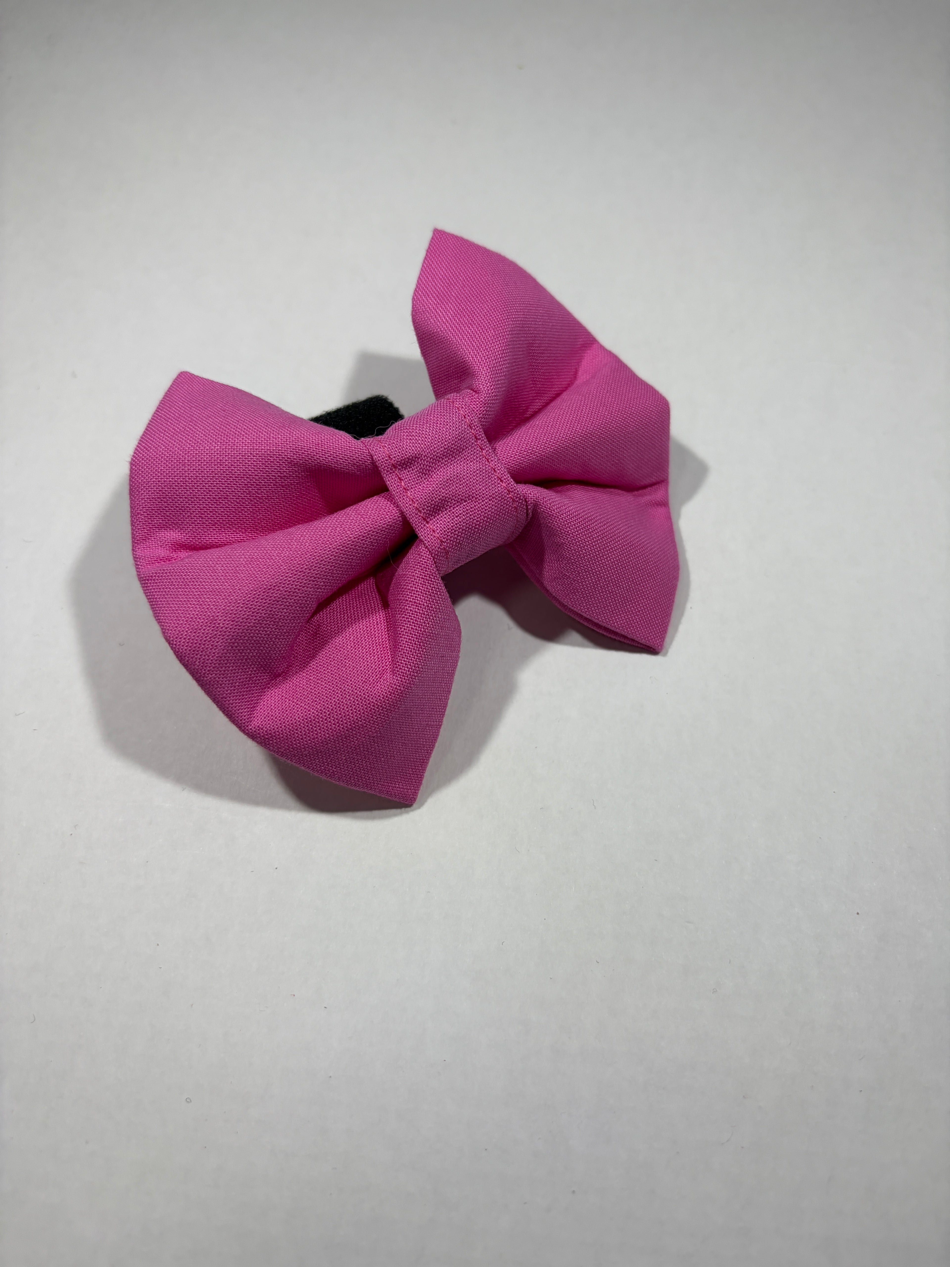Anti-Bullying Dog Bow
