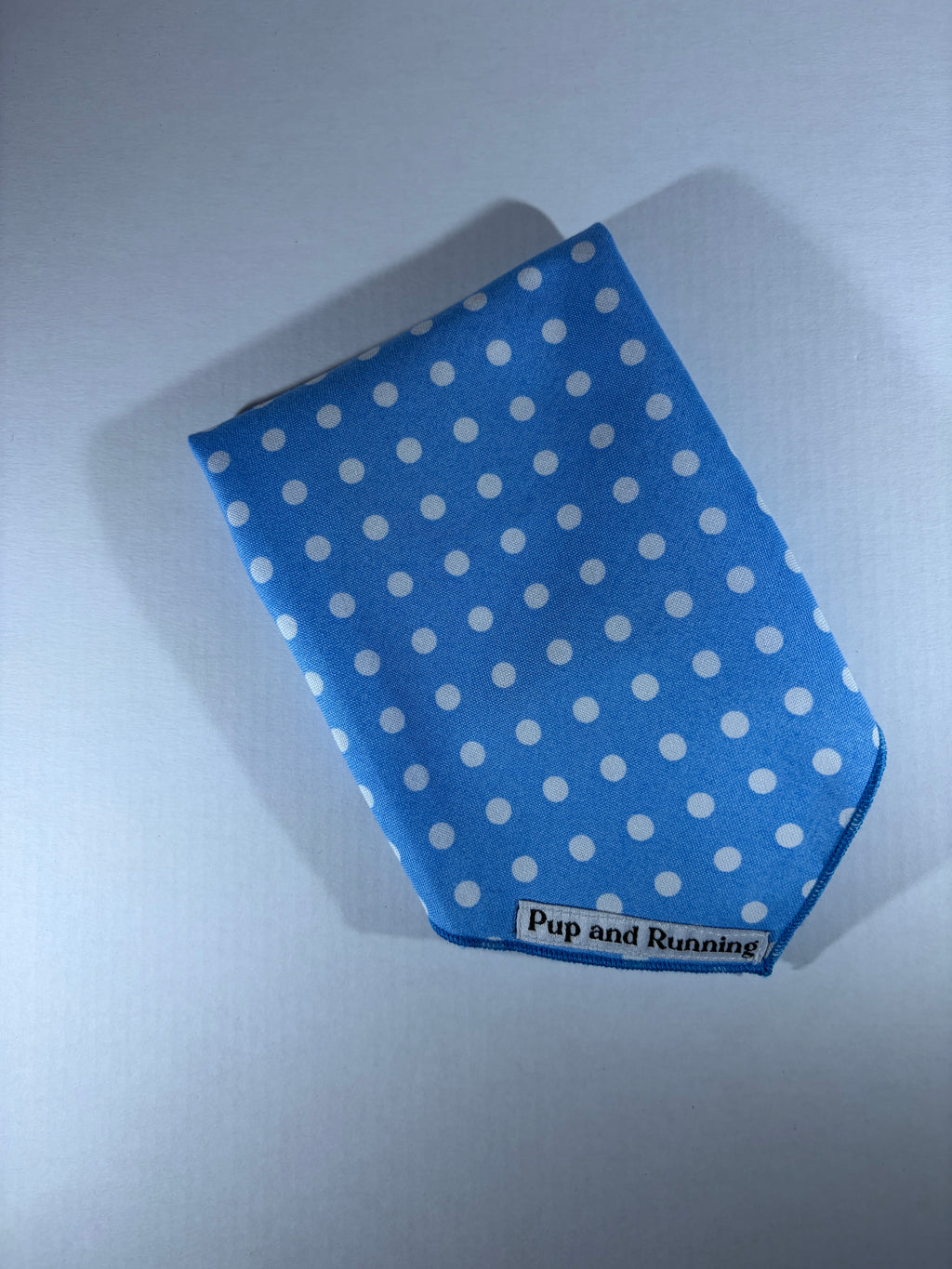 Blue Polka Dots bandana