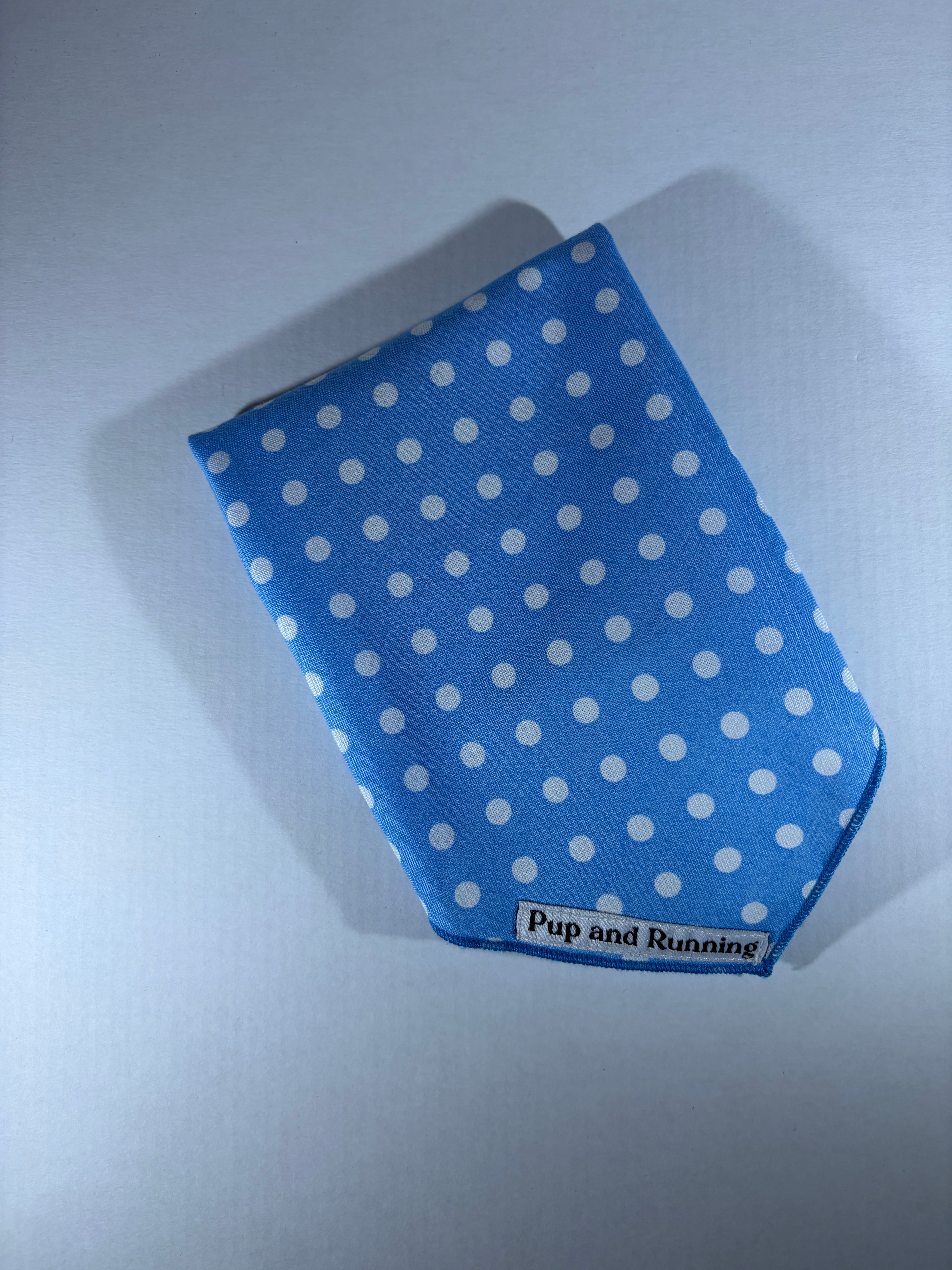 Blue Polka Dots bandana