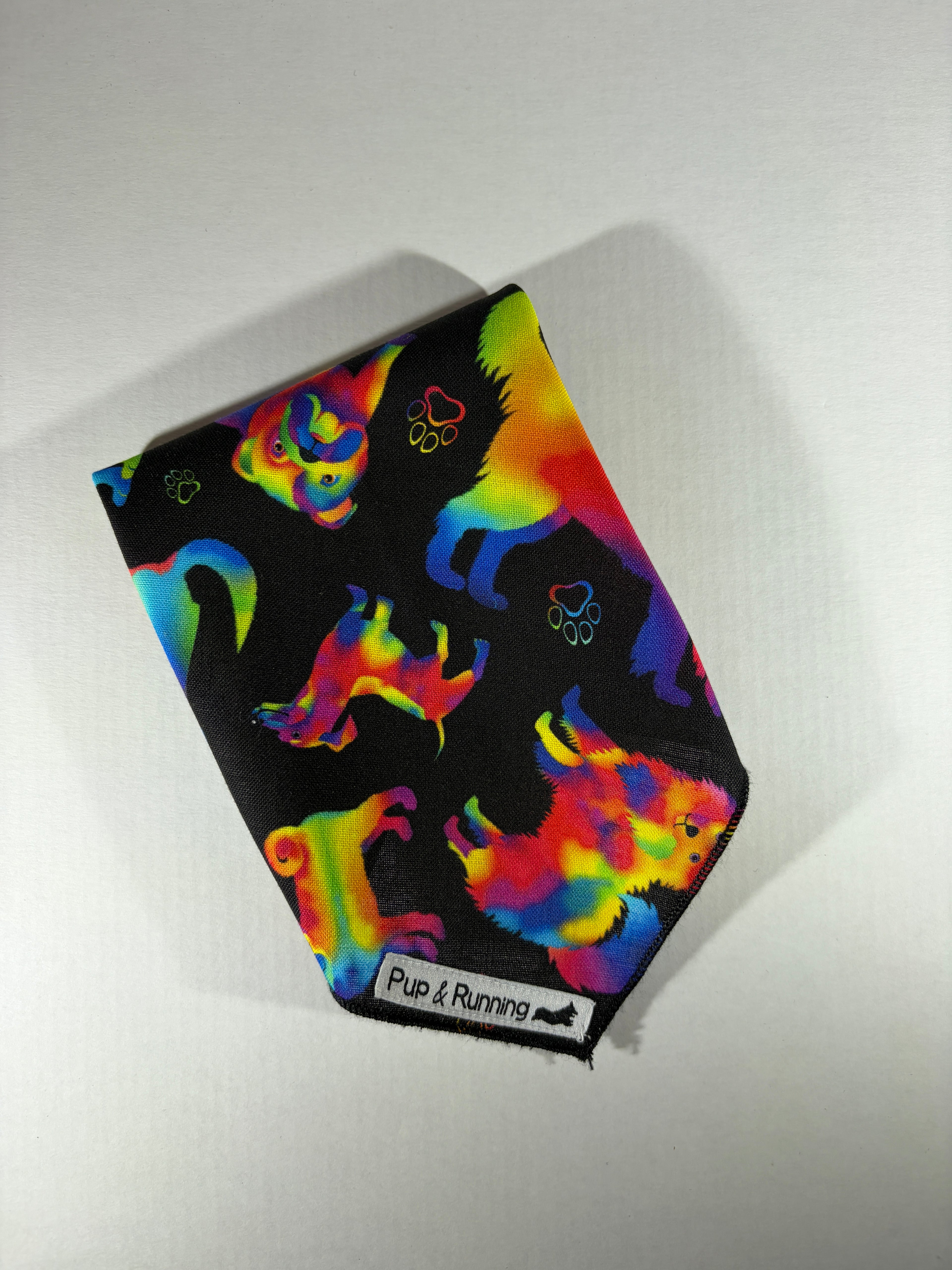 LGBT+ 🏳️‍🌈 supporter bandana