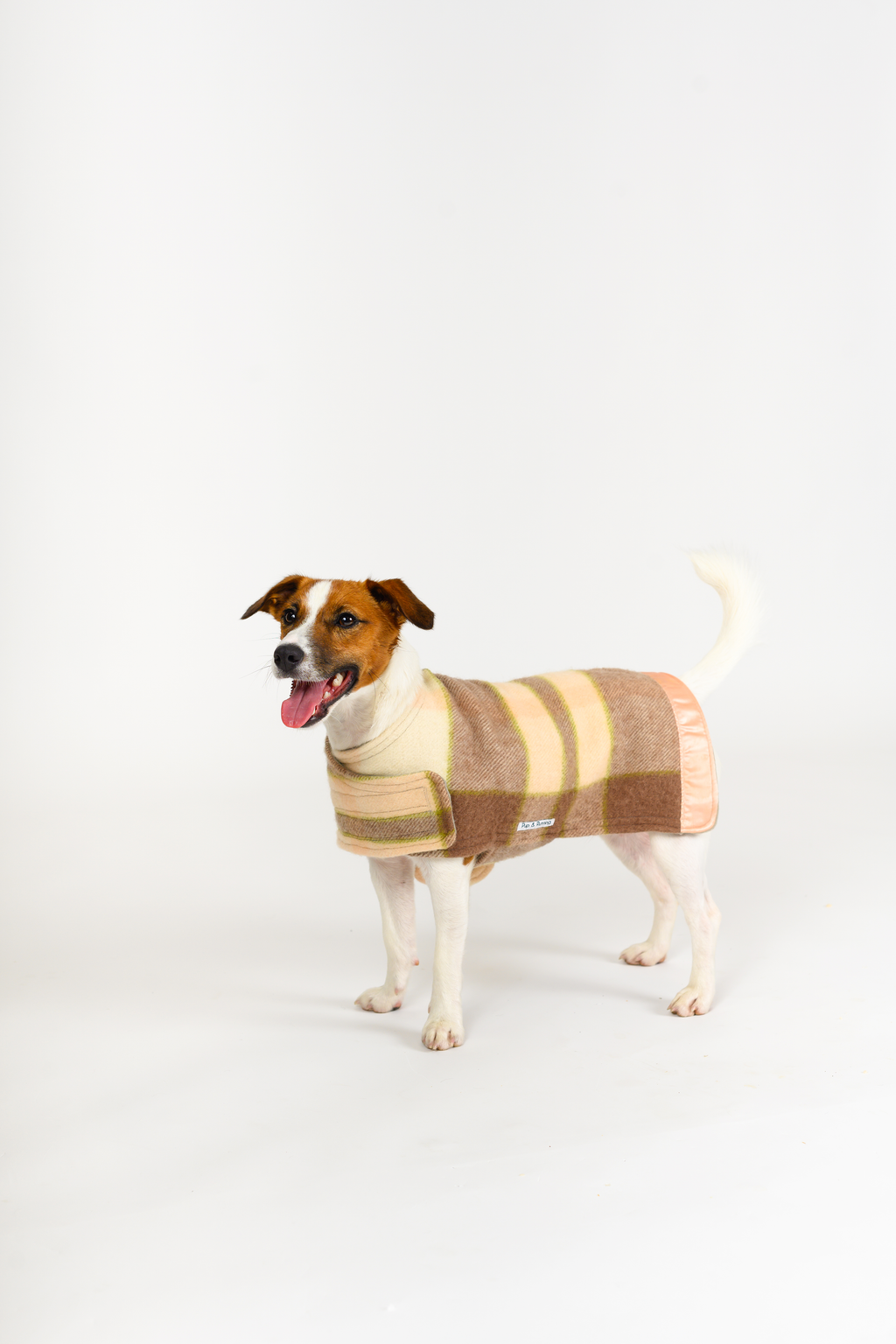 Wool Dog Coat
