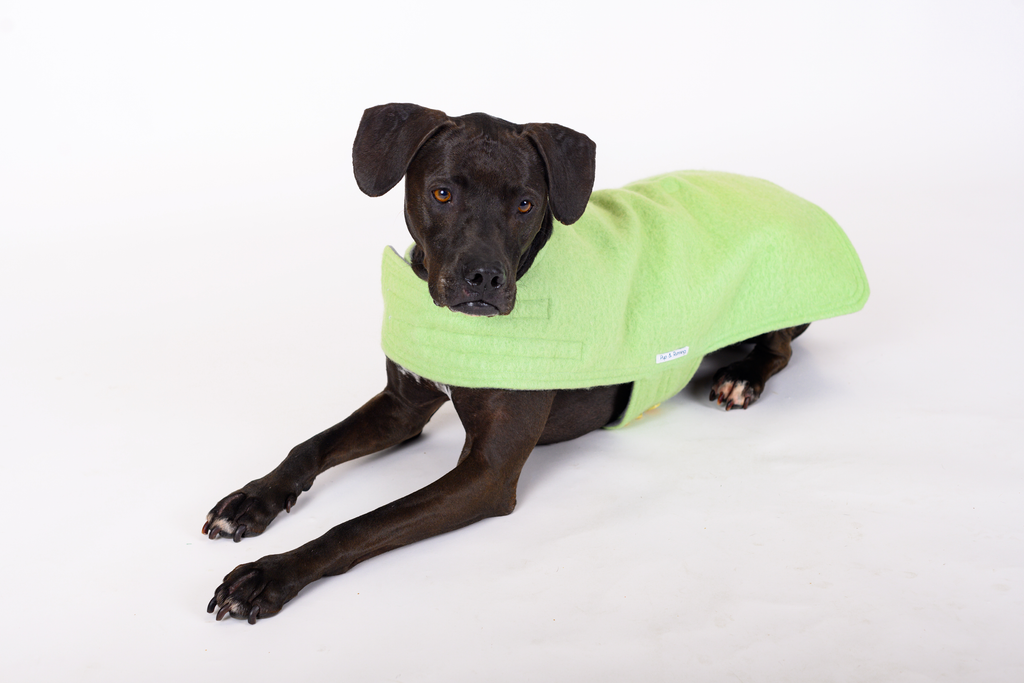 Wool Dog Coat