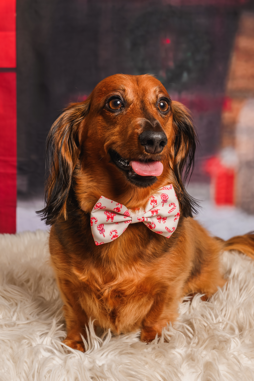 Candy Cane Lane Bows