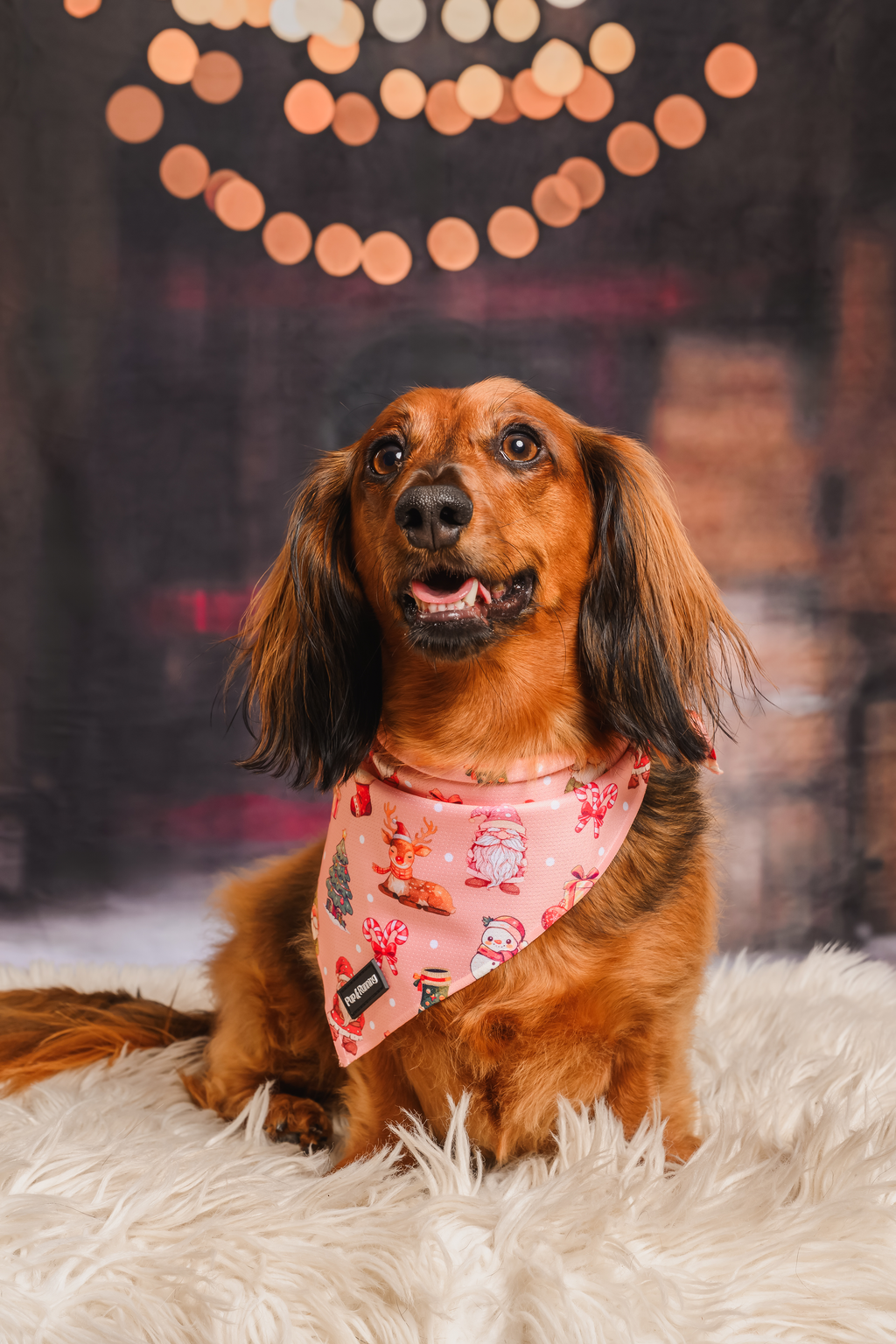 Merry Gonkmas bandana