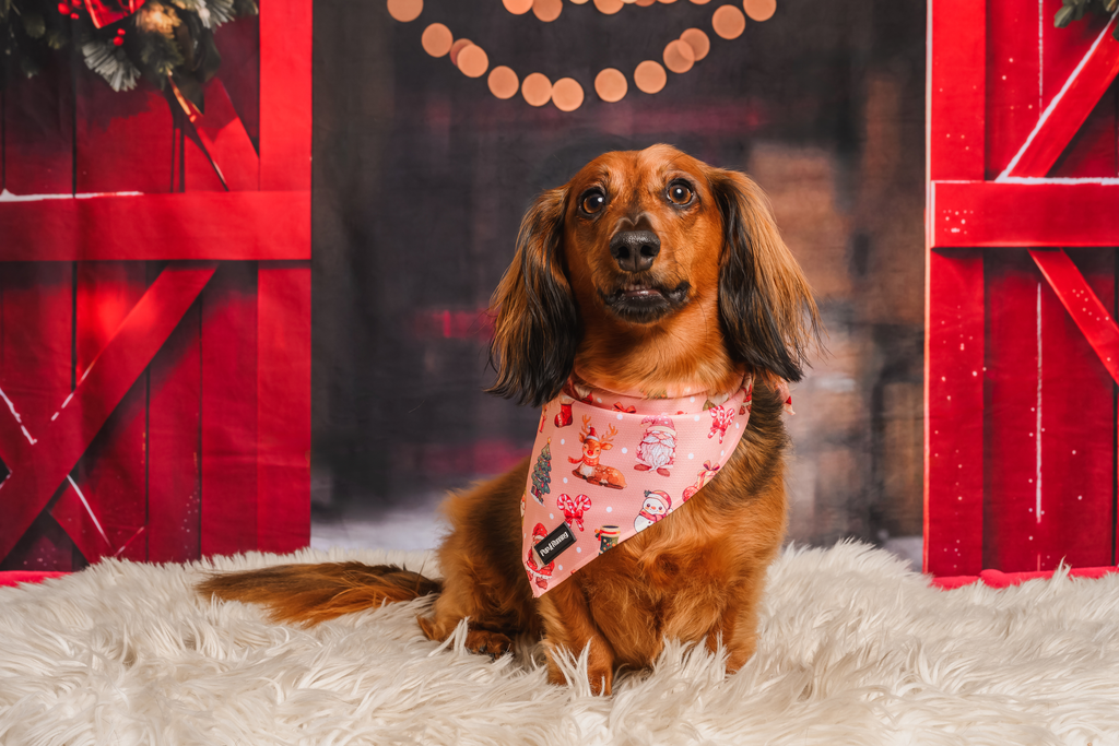 Merry Gonkmas bandana