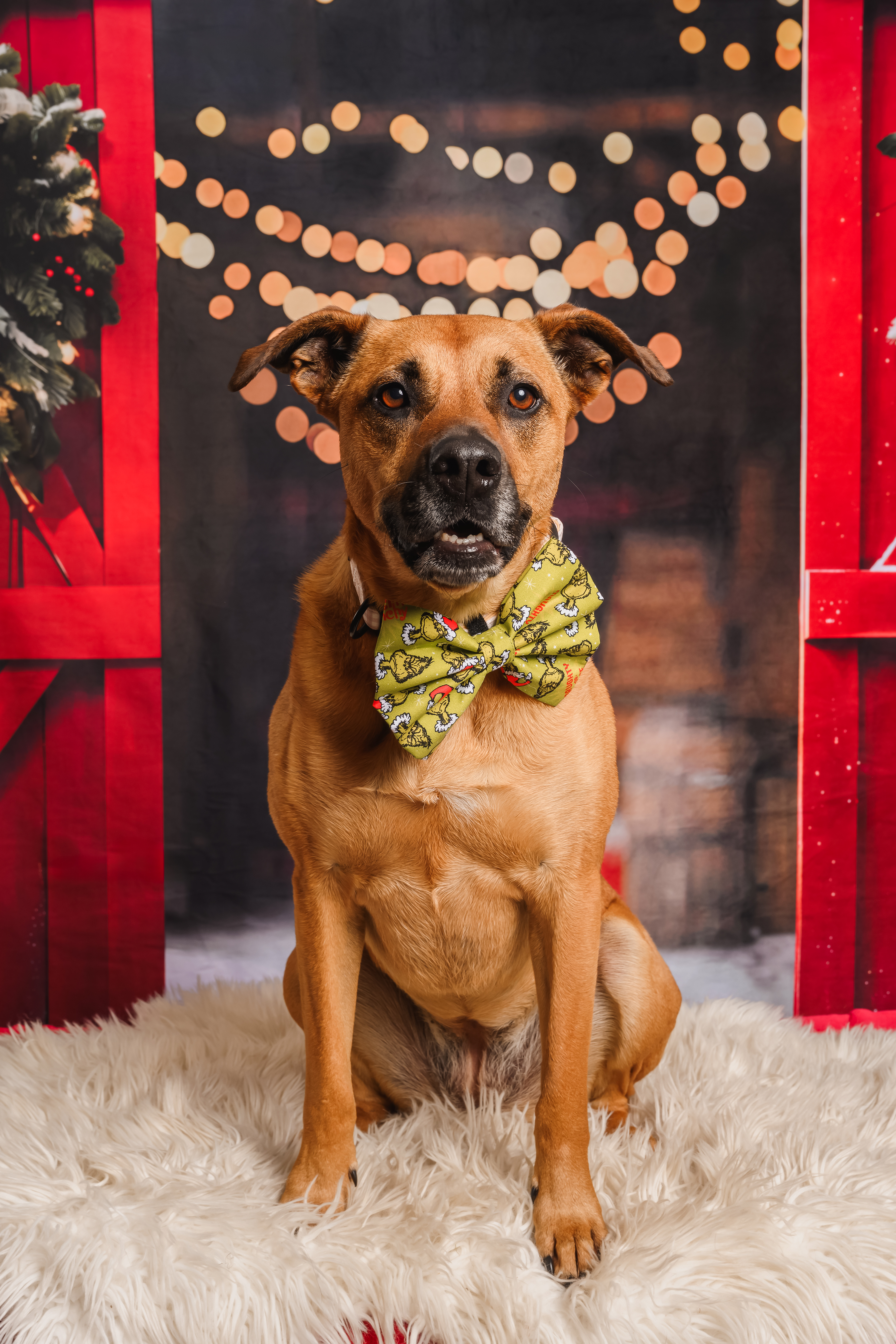 Grinch's naughty or nice list? bow