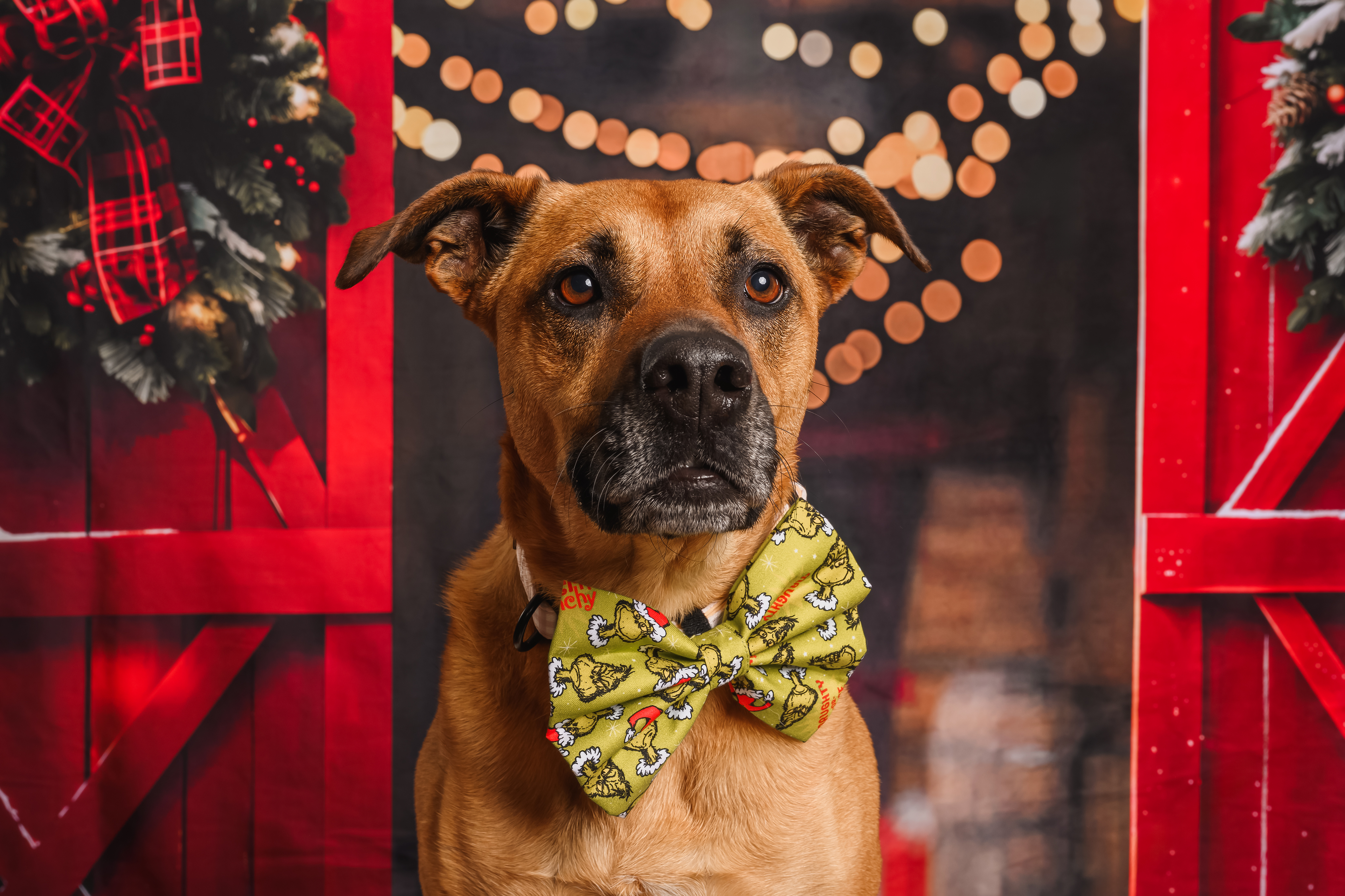 Grinch's naughty or nice list? bow