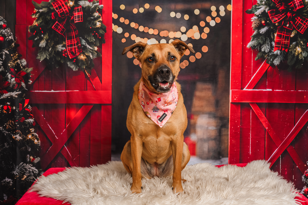 Merry Gonkmas bandana