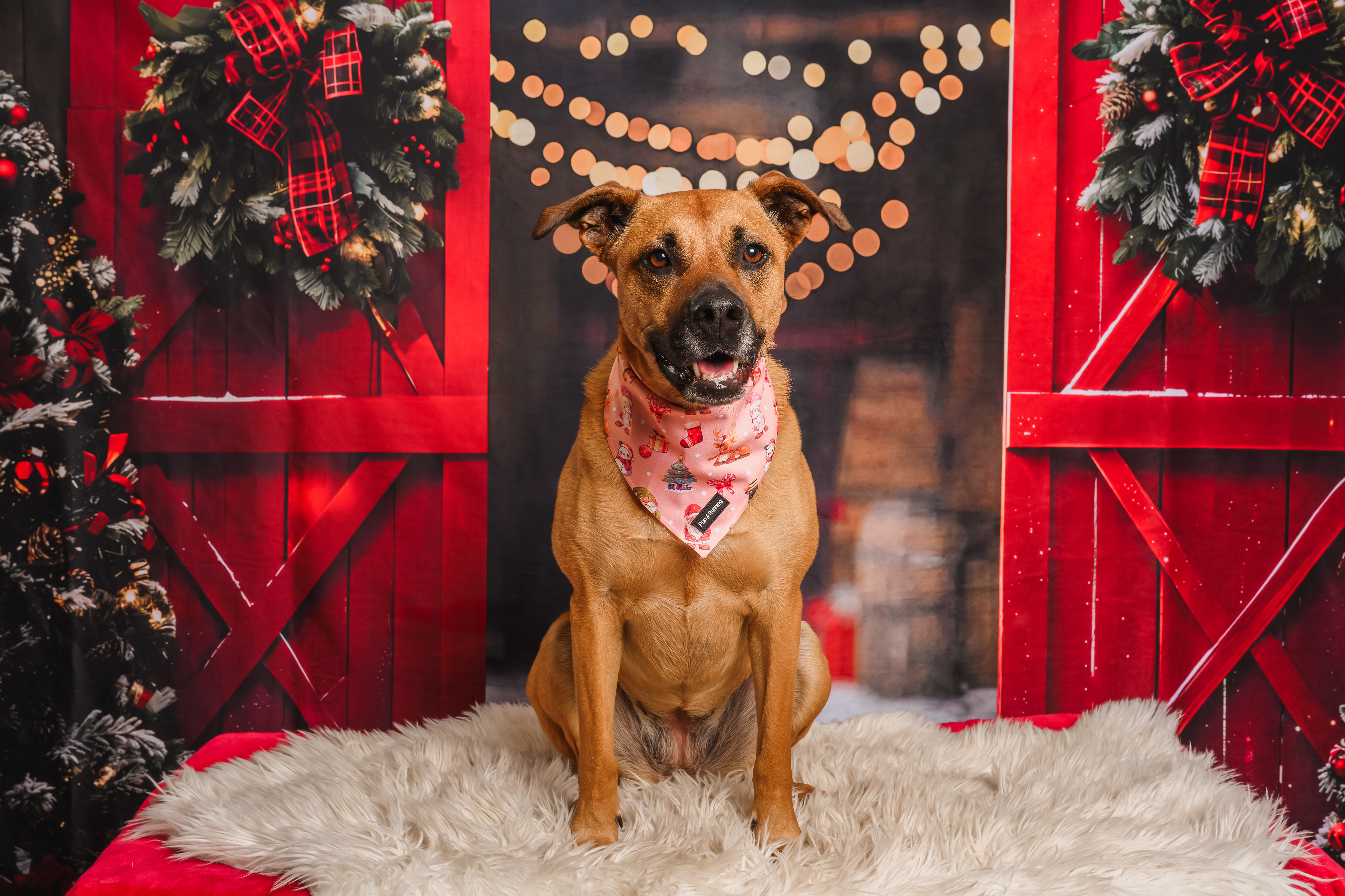 Merry Gonkmas bandana
