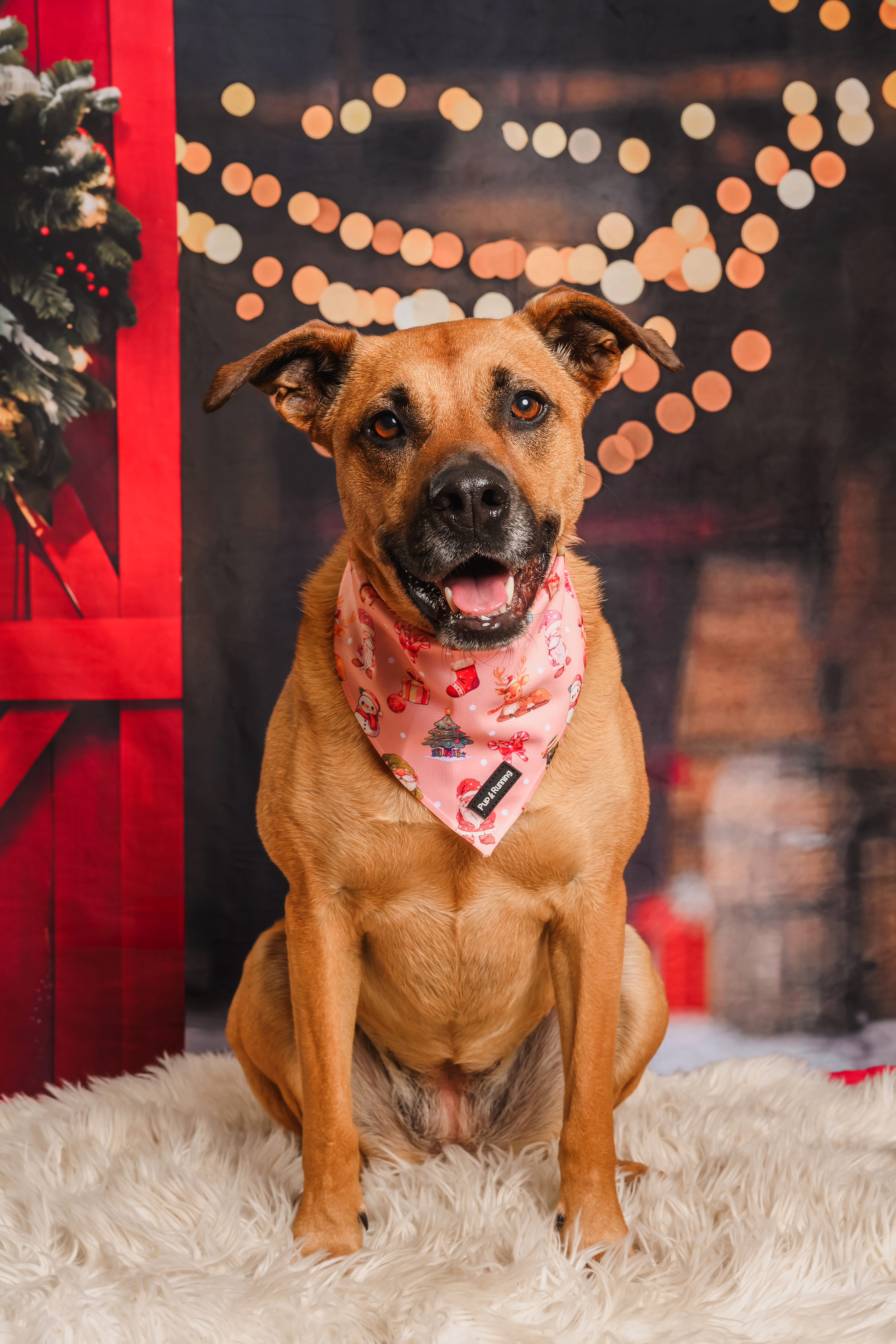 Merry Gonkmas bandana
