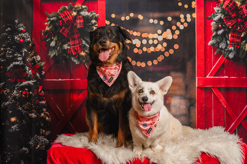 Merry Gonkmas bandana