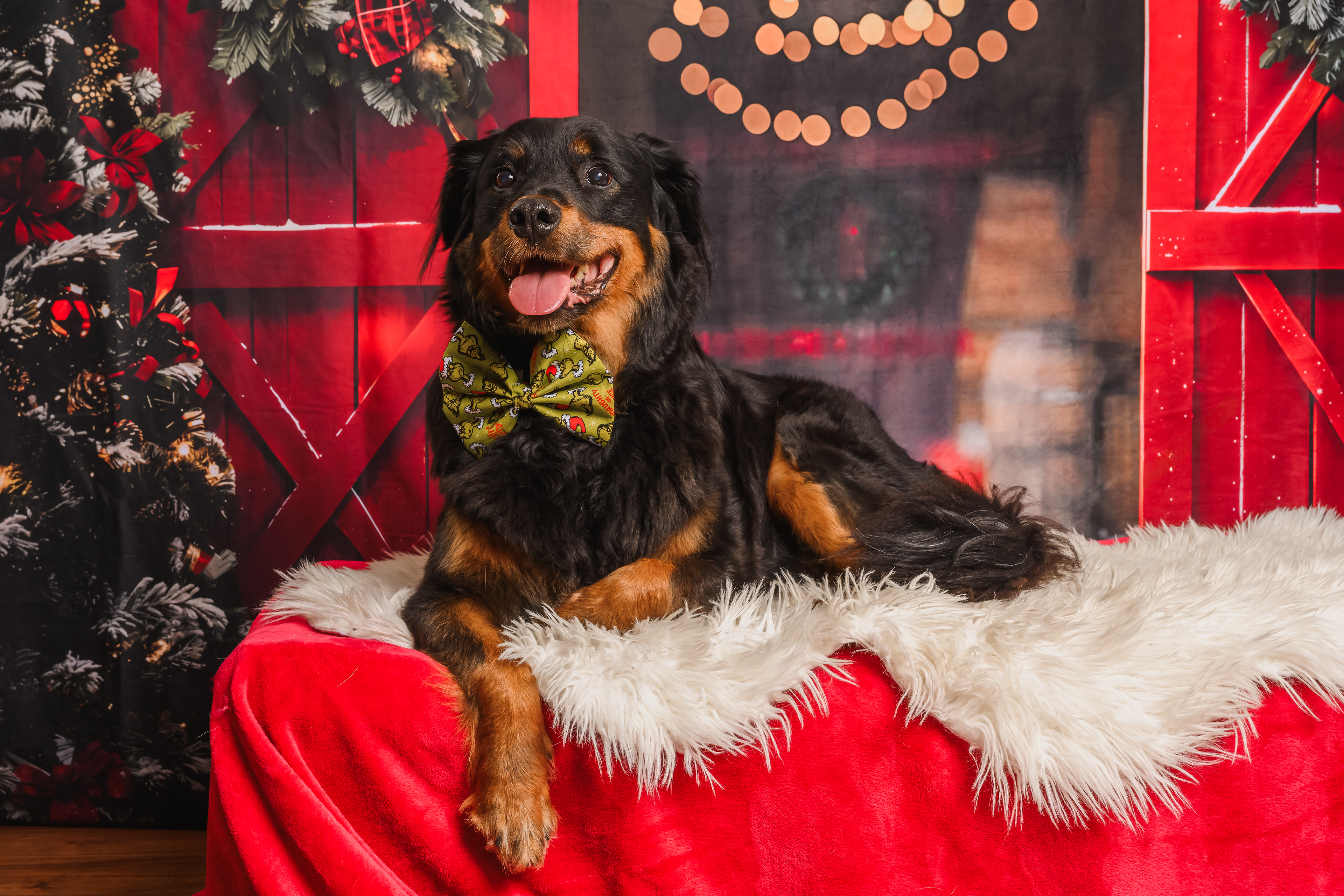 Grinch's naughty or nice list? bow