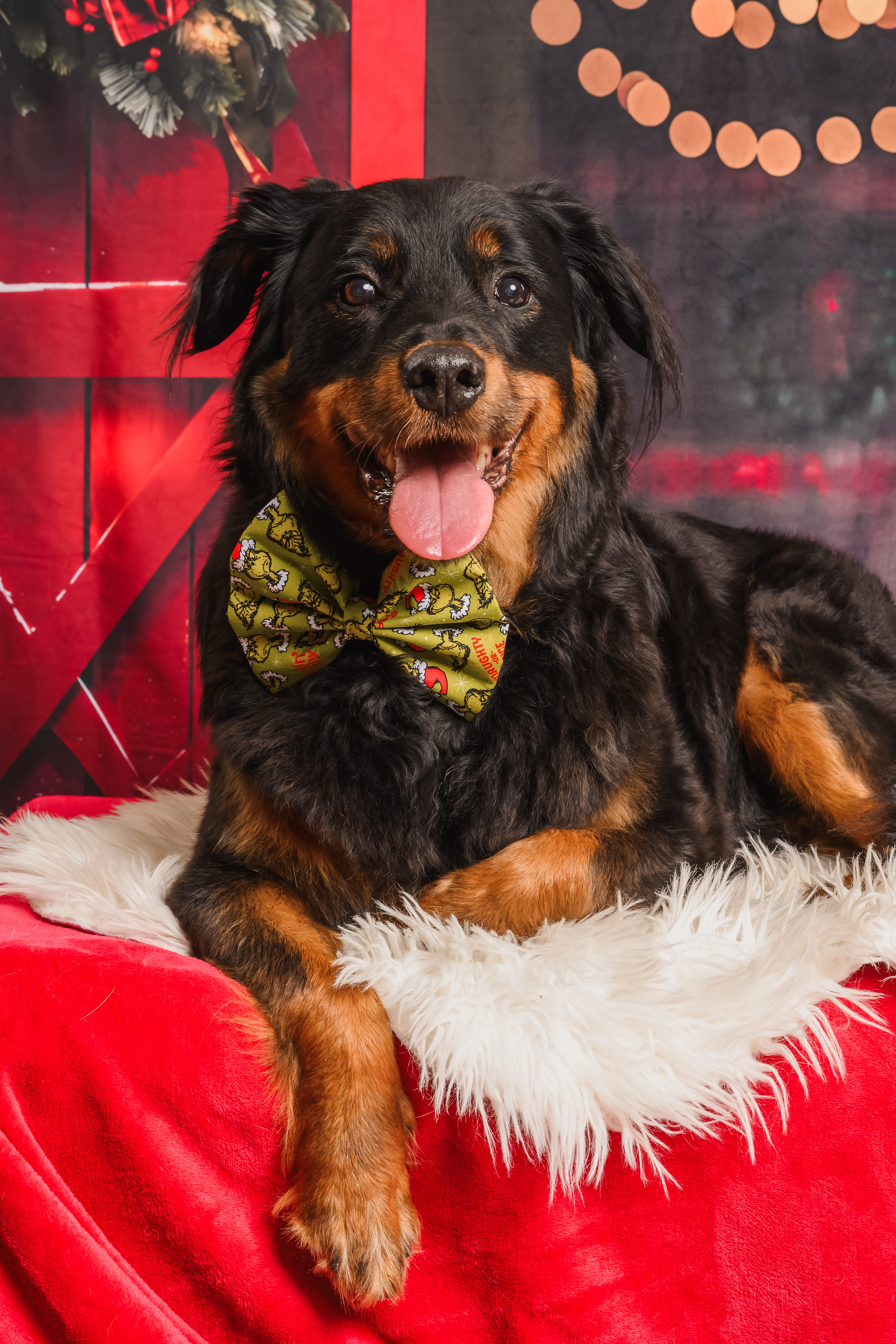 Grinch's naughty or nice list? bow