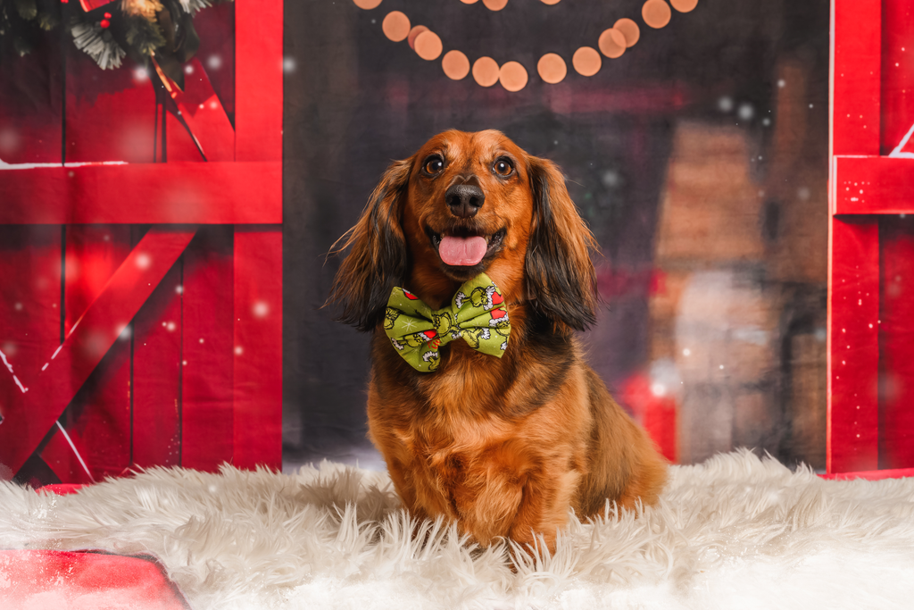 Grinch's naughty or nice list? bow