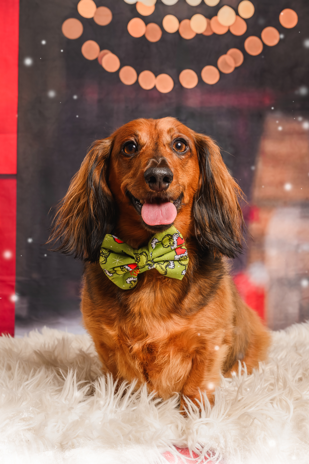 Grinch's naughty or nice list? bow