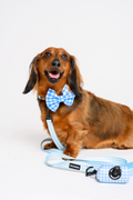 Poop Bag Holder in Blue Gingham