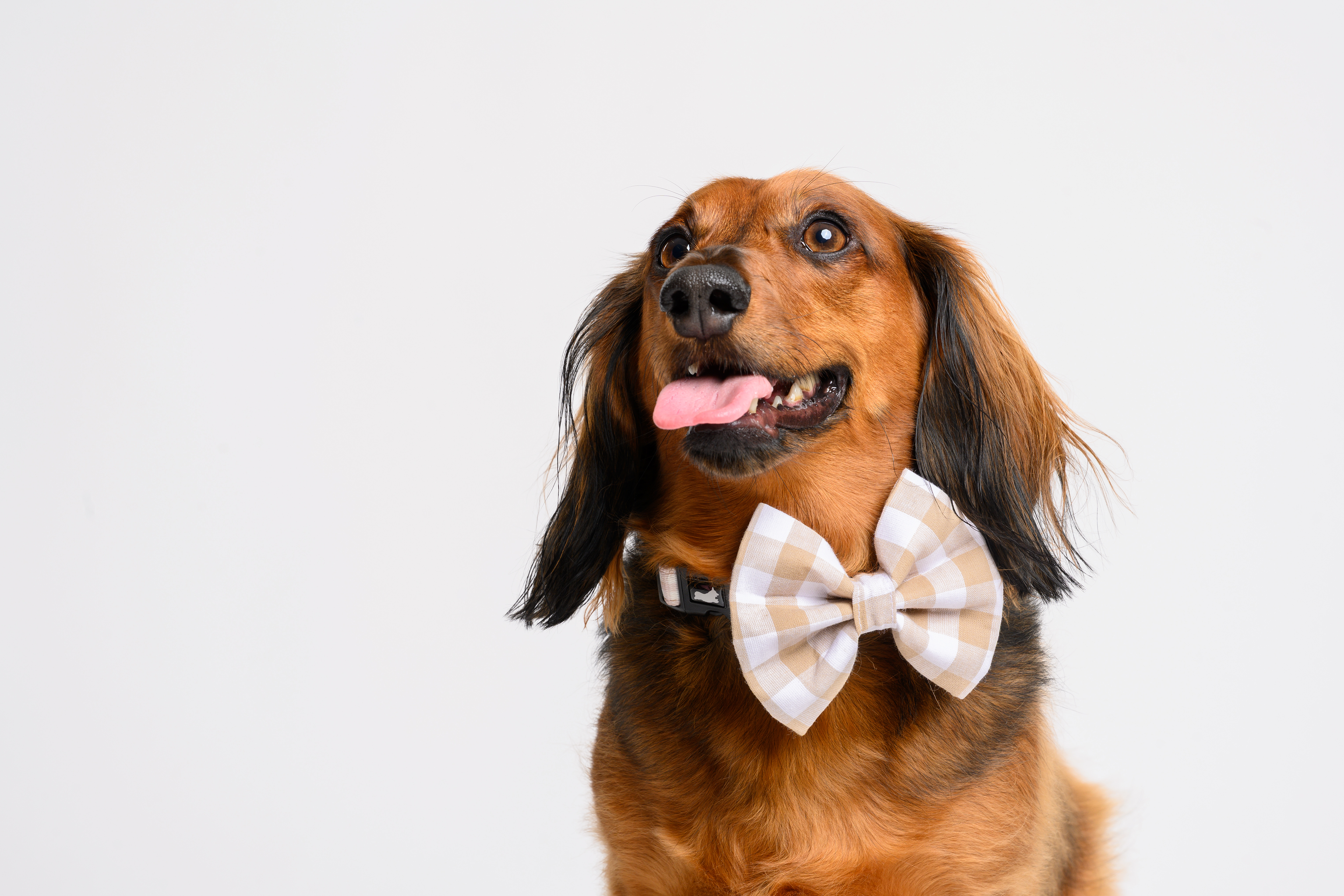 My First Accessory Set – Beige Gingham