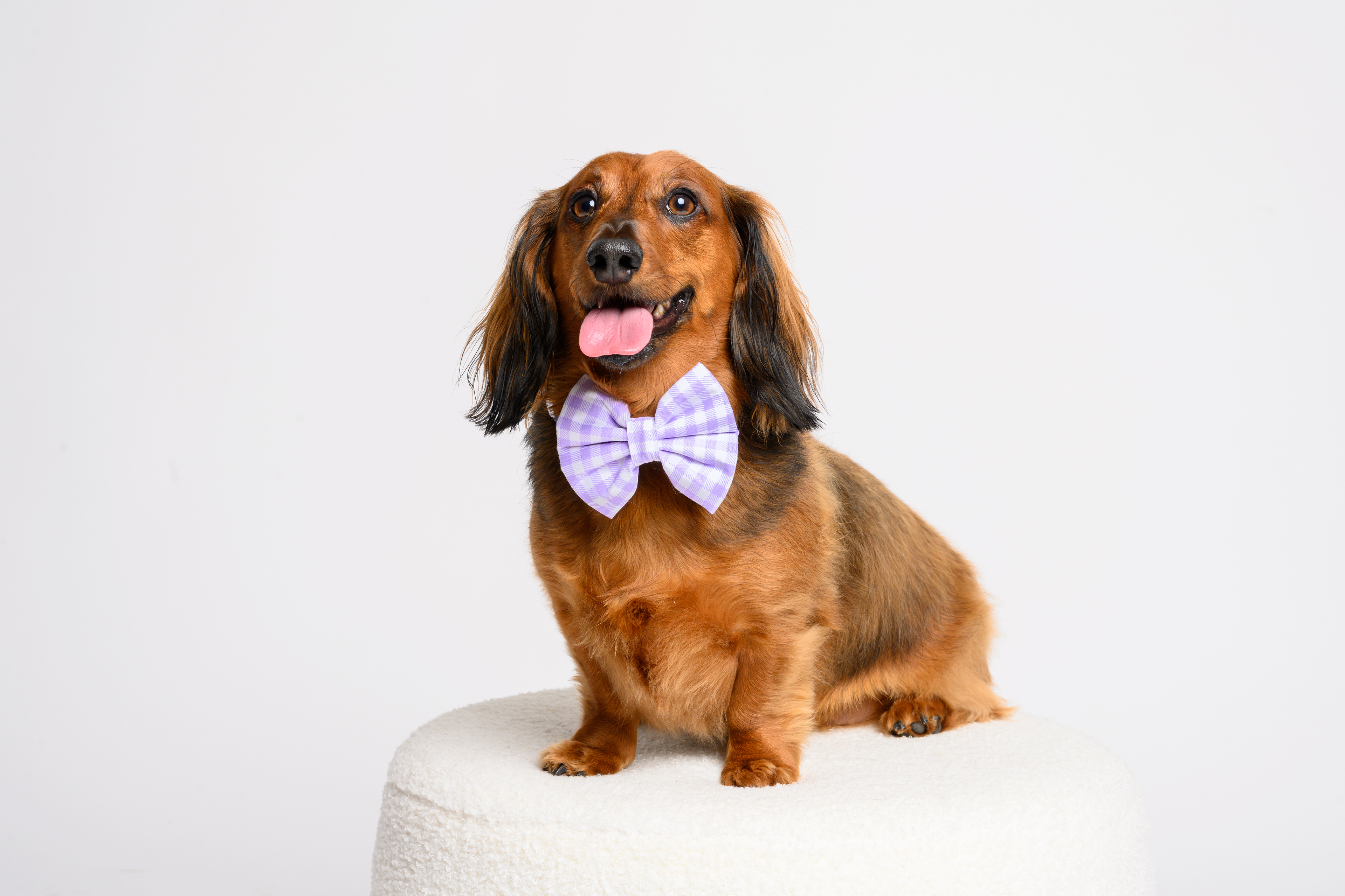 My First Accessory Set – Purple Gingham