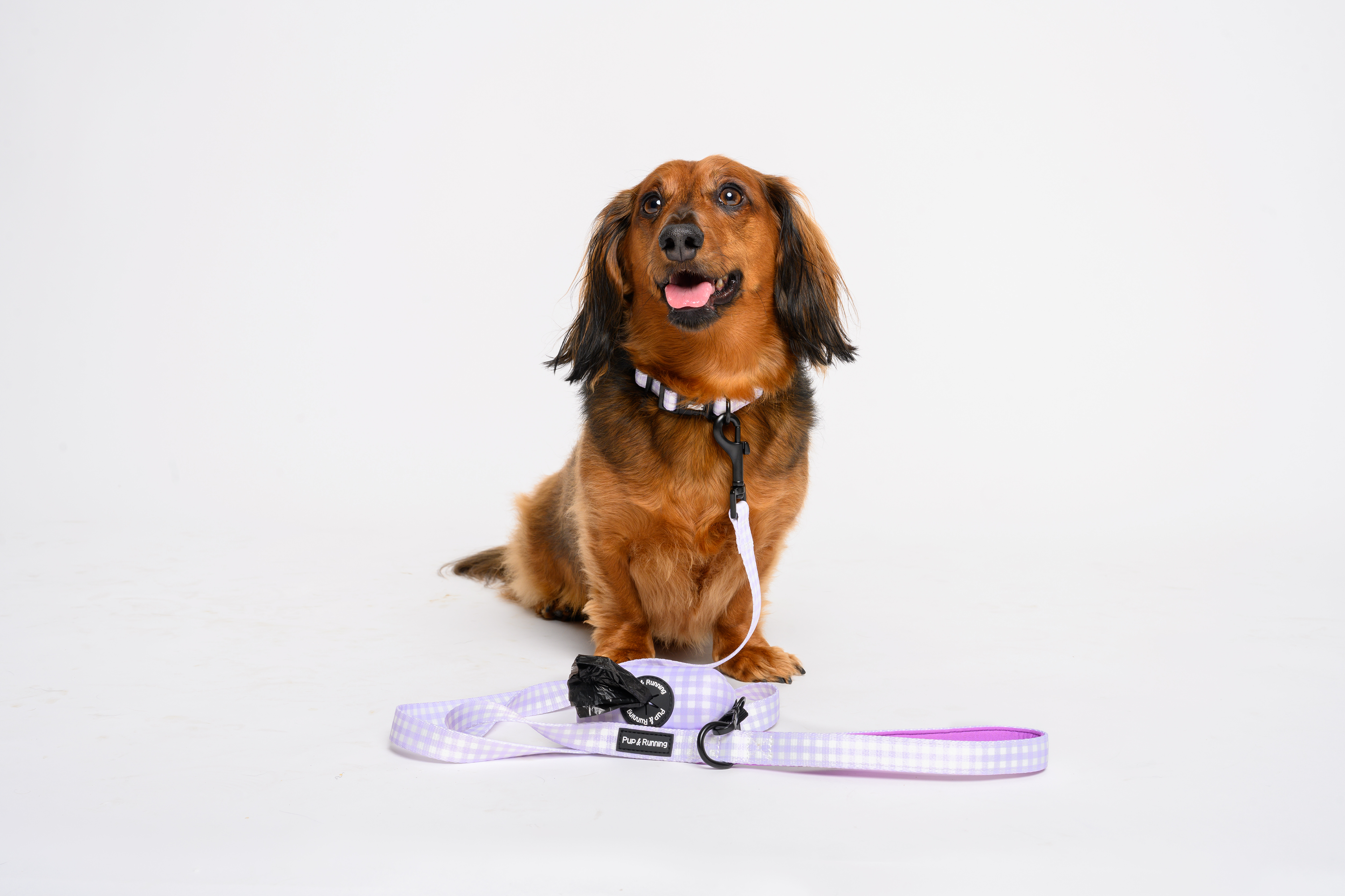 Poop Bag Holder in Purple Gingham