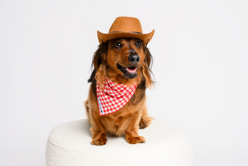 Mamma Rosa bandana