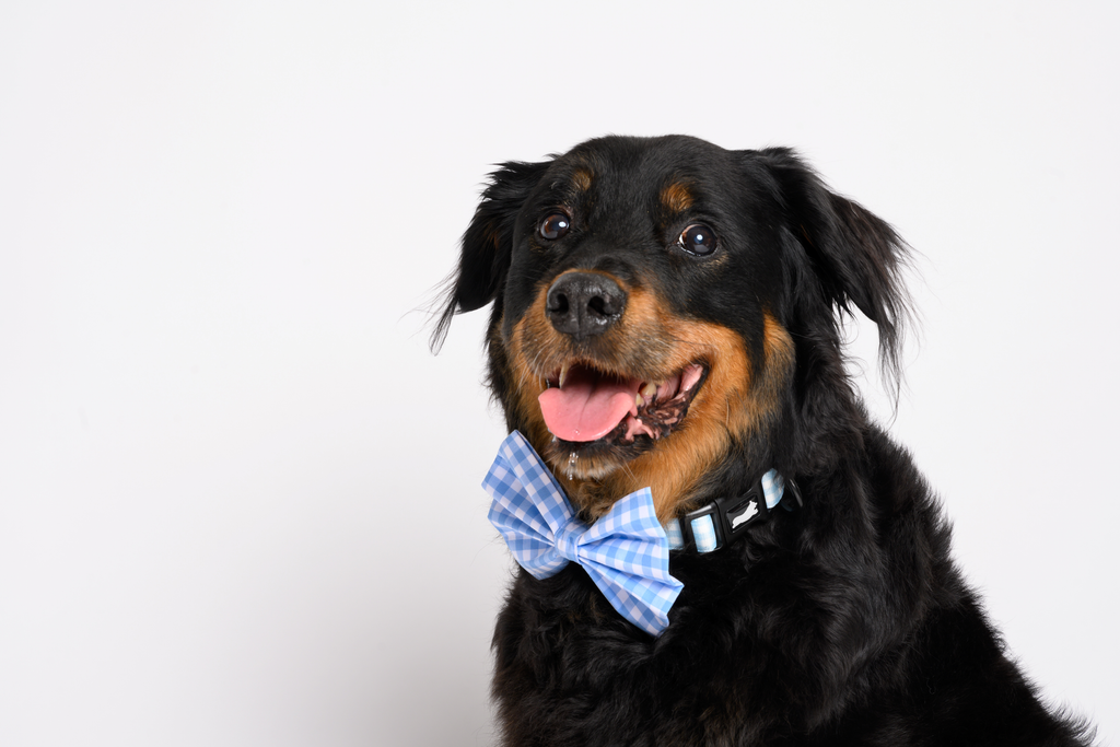 My First Accessory Set – Blue Gingham