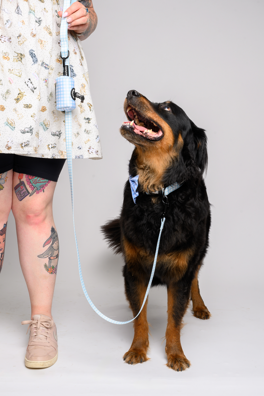 Match My Dog Set in Blue Gingham