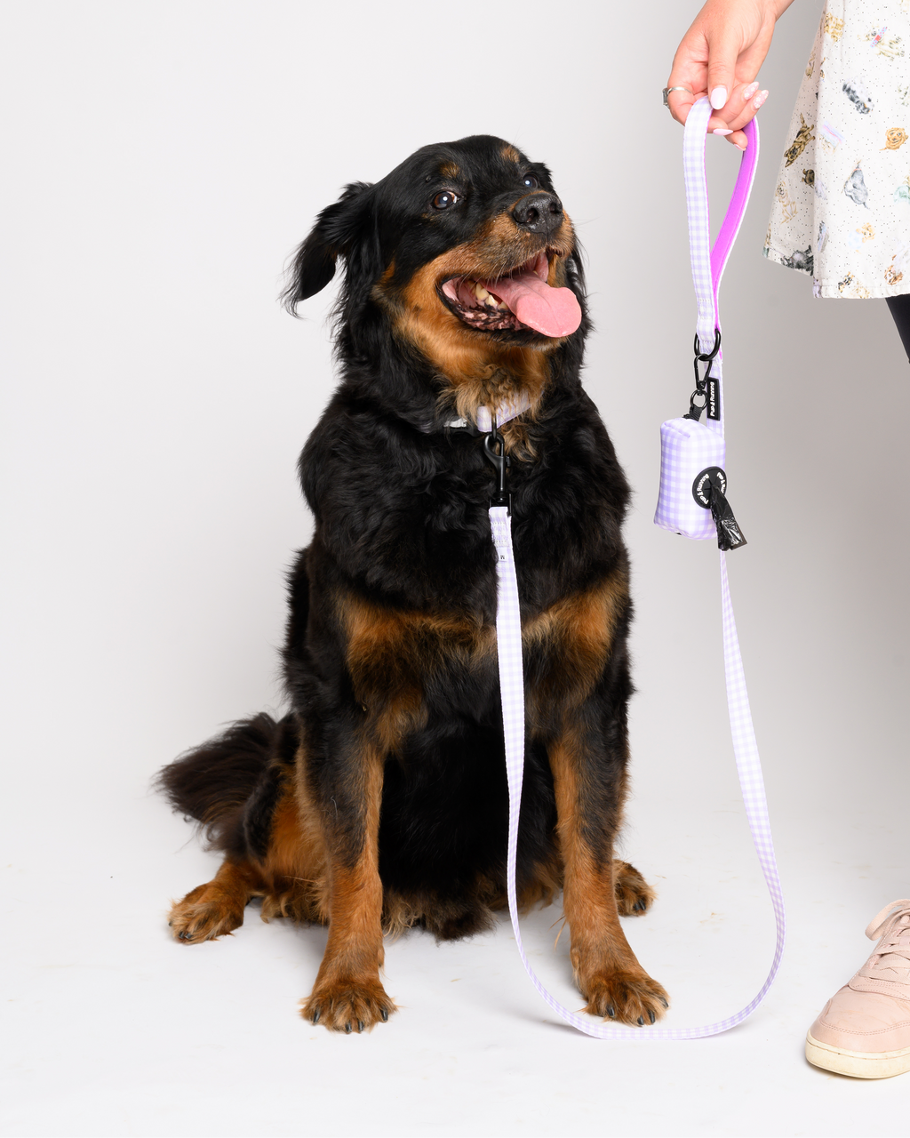 Poop Bag Holder in Purple Gingham