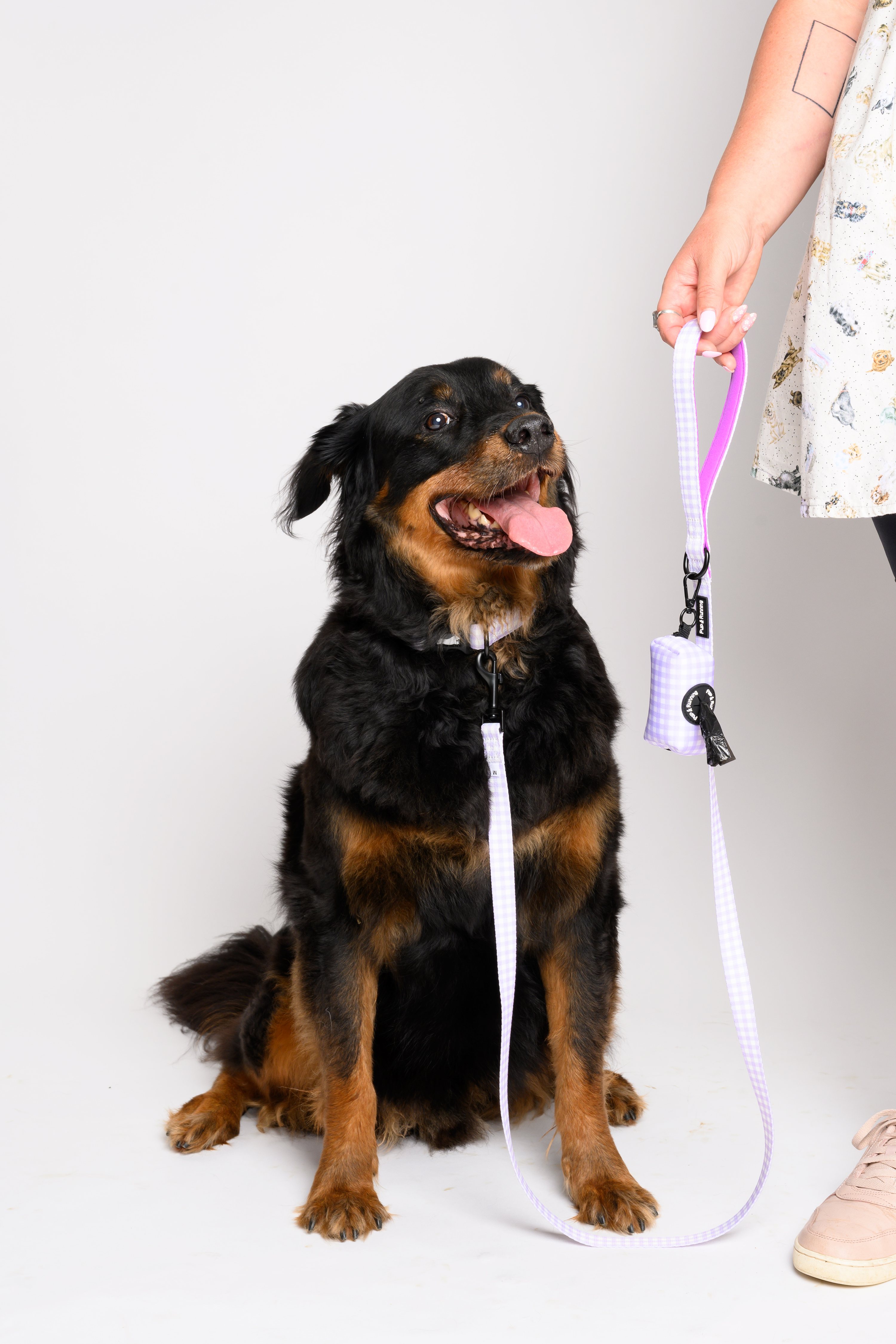Purple Gingham Leash