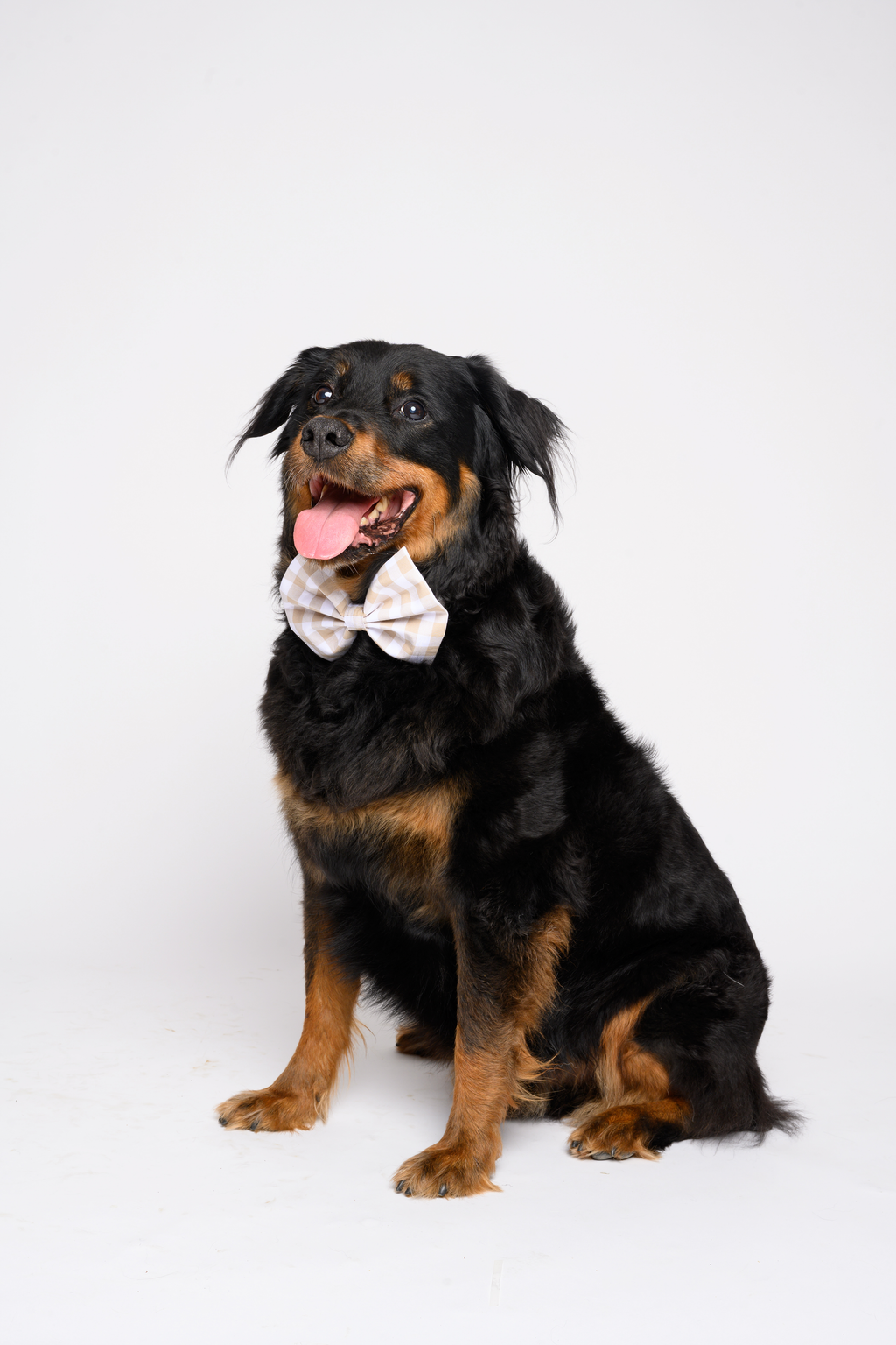 My First Accessory Set – Purple Gingham