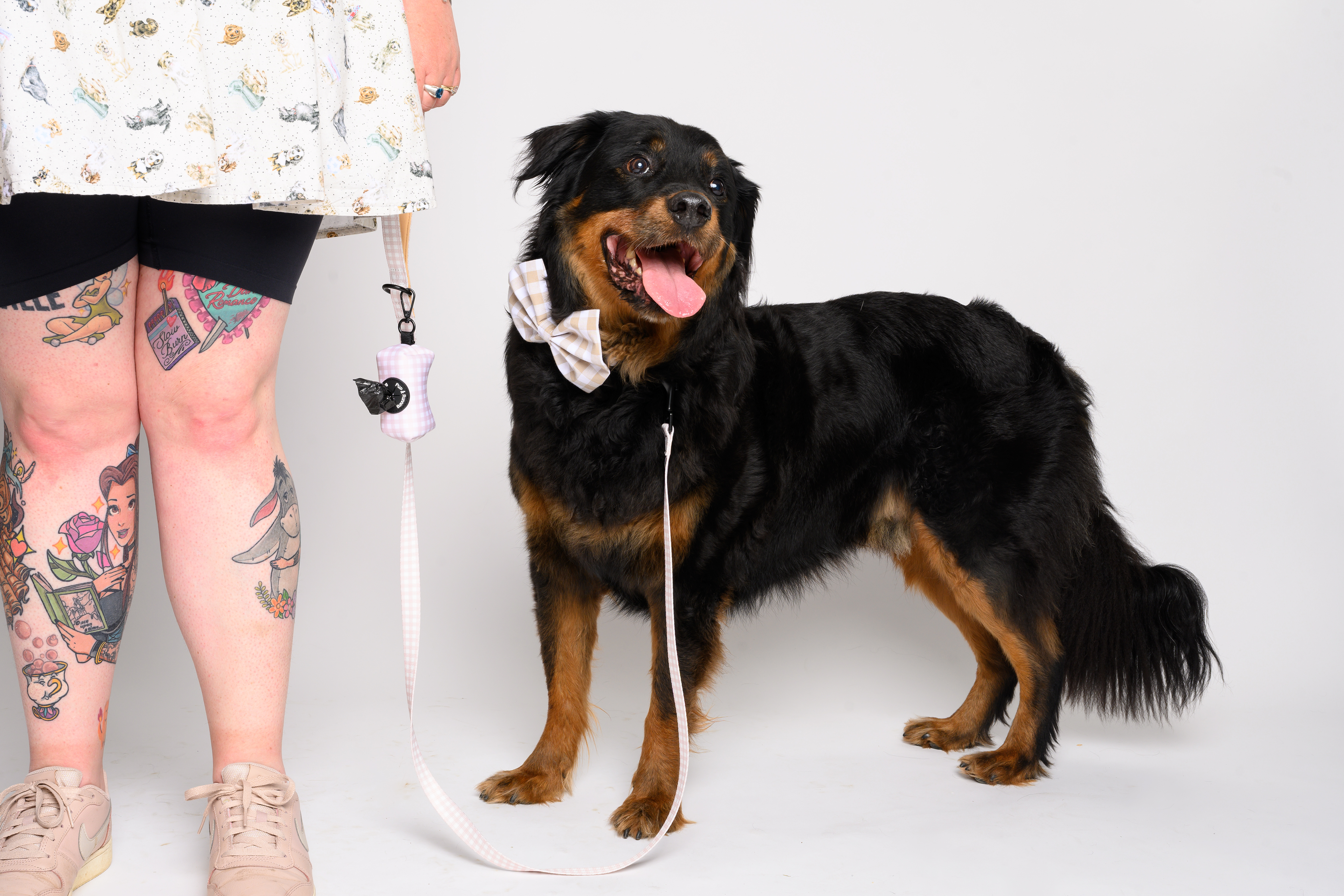 Beige Gingham Dog Walking Set