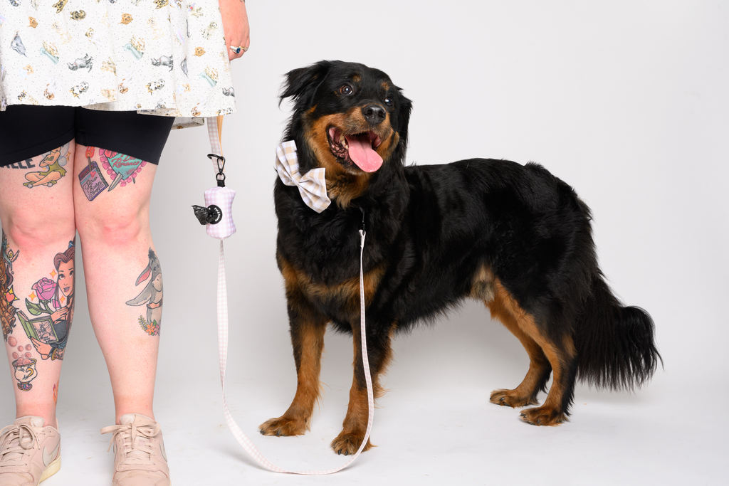 Match My Dog Set in Purple Gingham