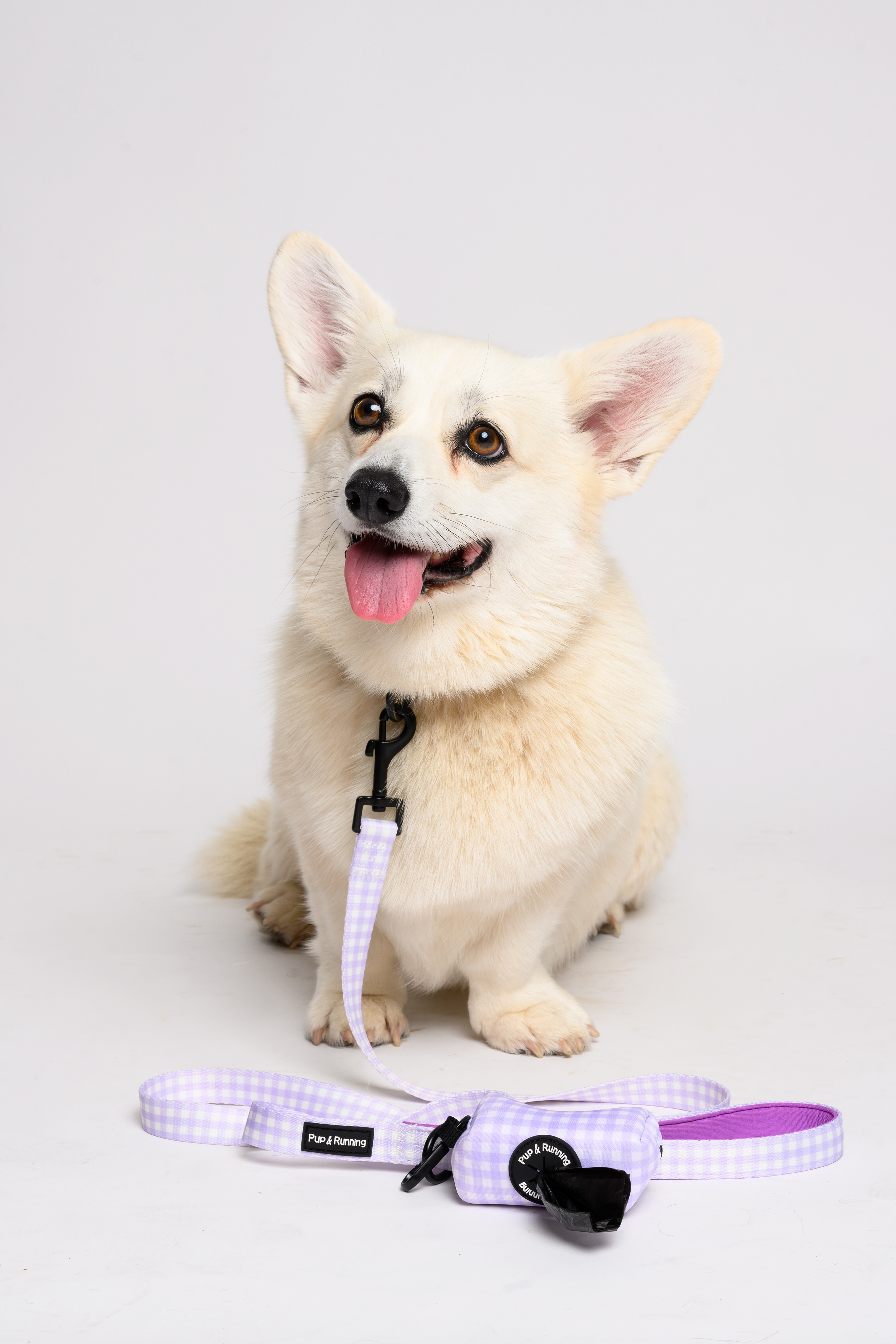 Purple Gingham Dog Walking Set
