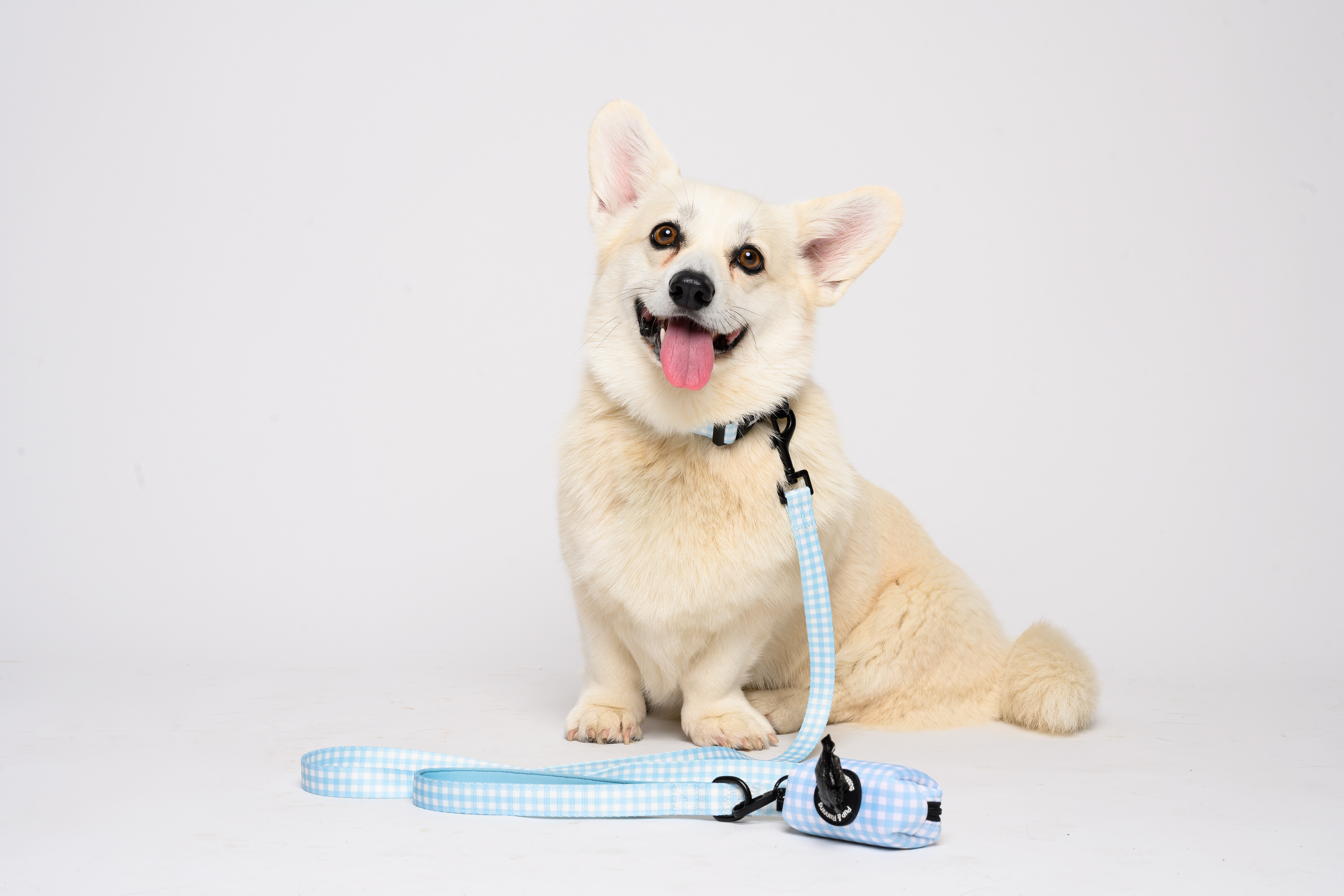 Blue Gingham Dog Walking Set