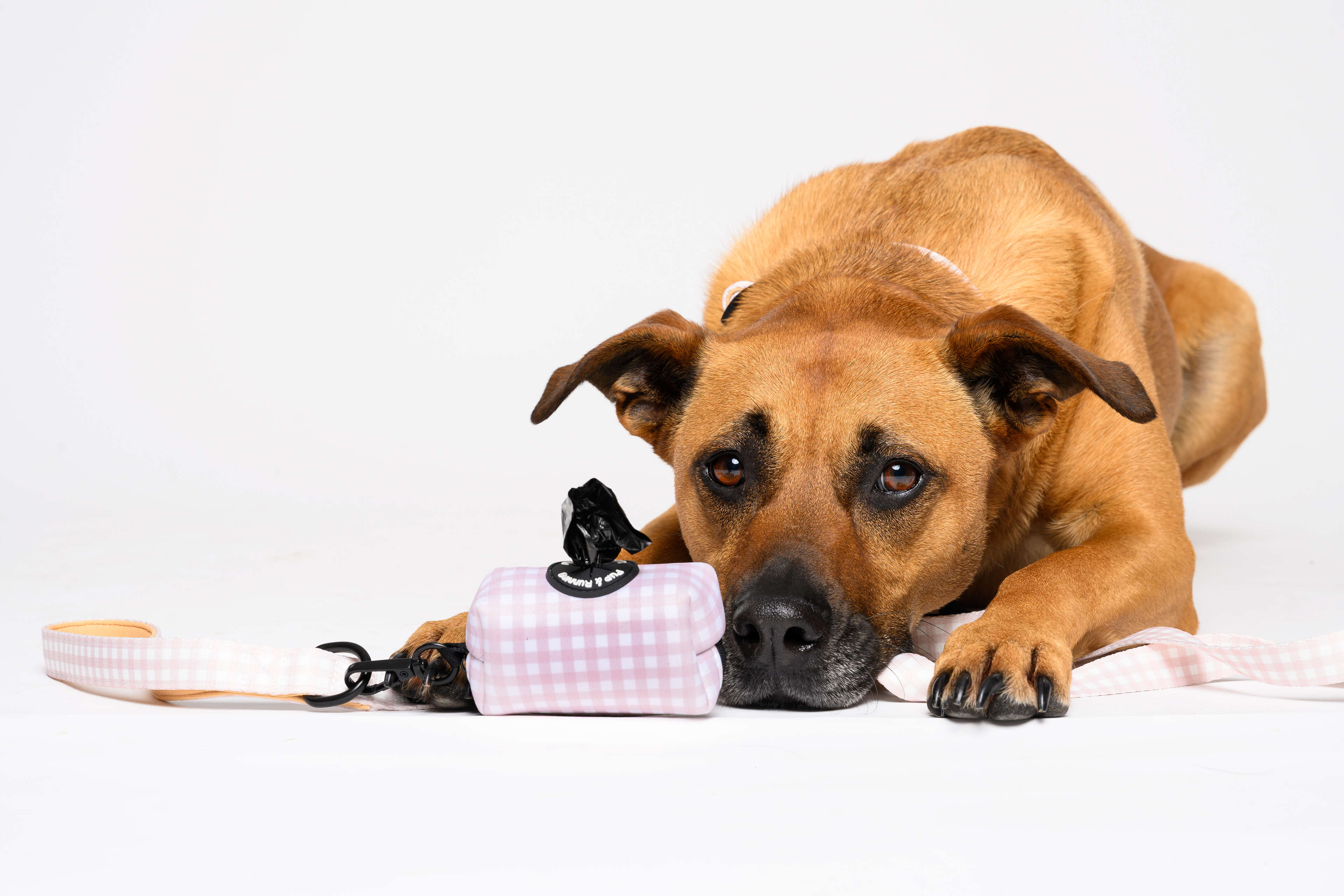 Beige Gingham Dog Walking Set