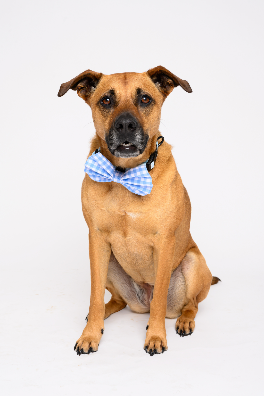 My First Accessory Set – Blue Gingham