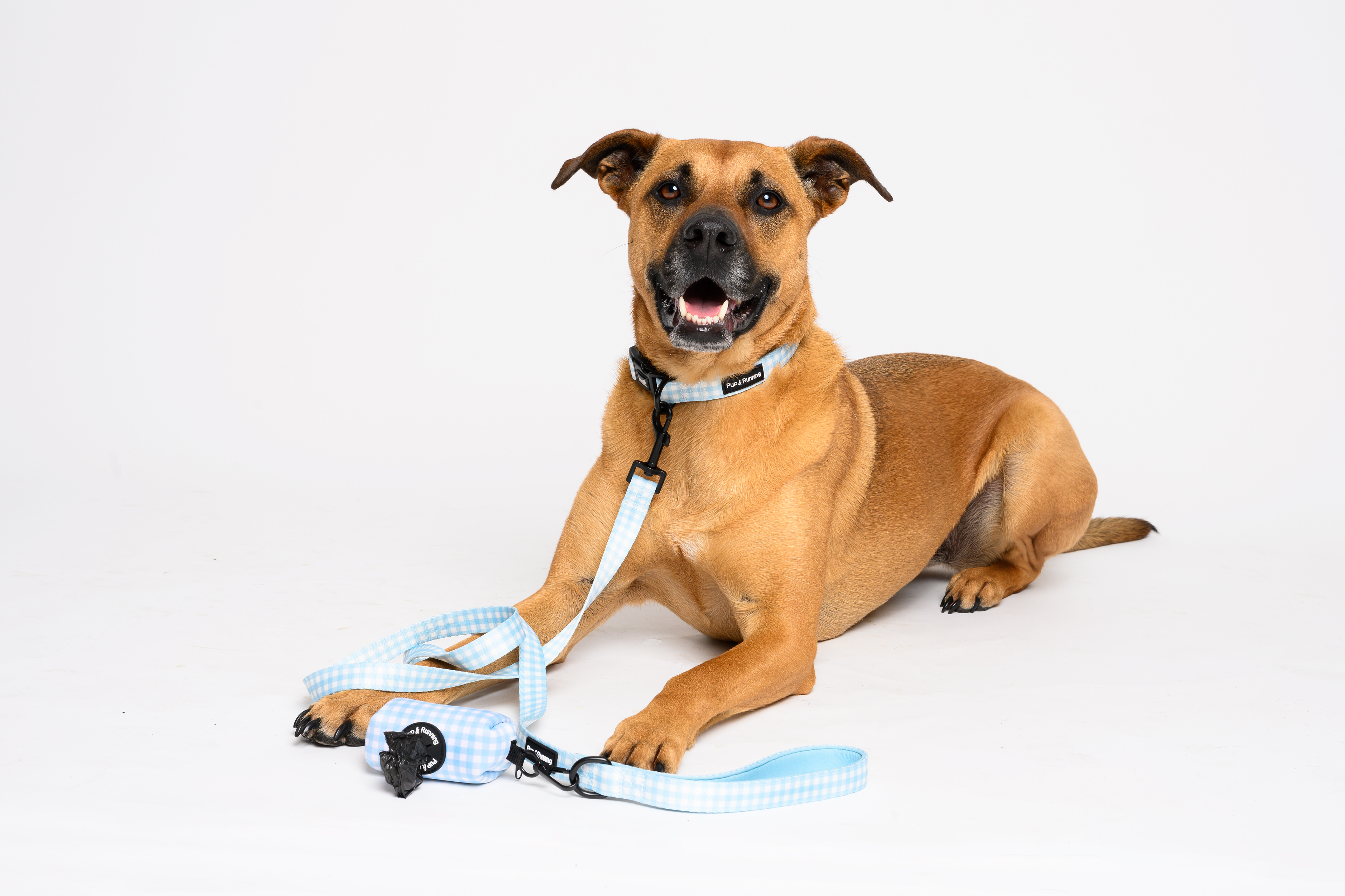 Poop Bag Holder in Blue Gingham