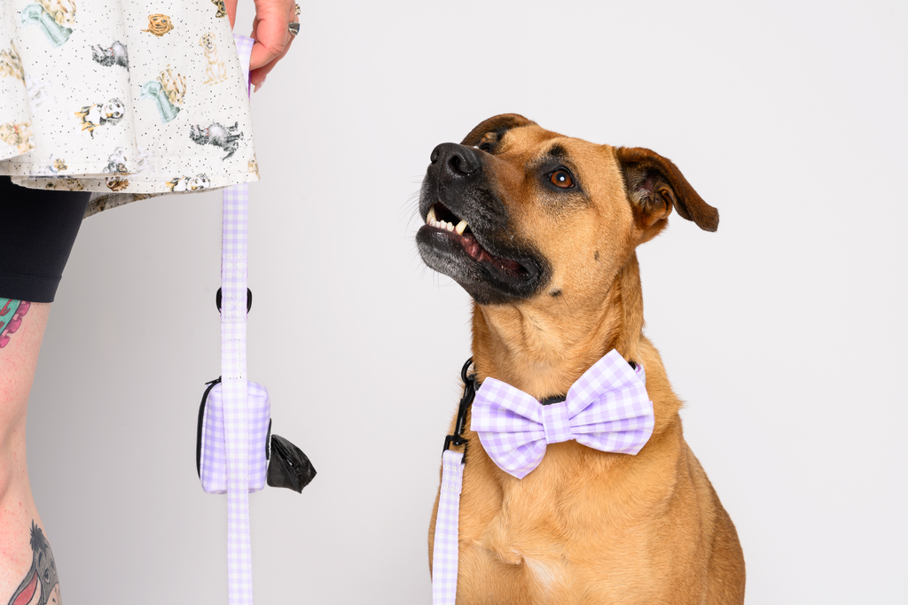 Match My Dog Set in Purple Gingham