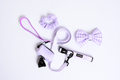 Match My Dog Set in Purple Gingham