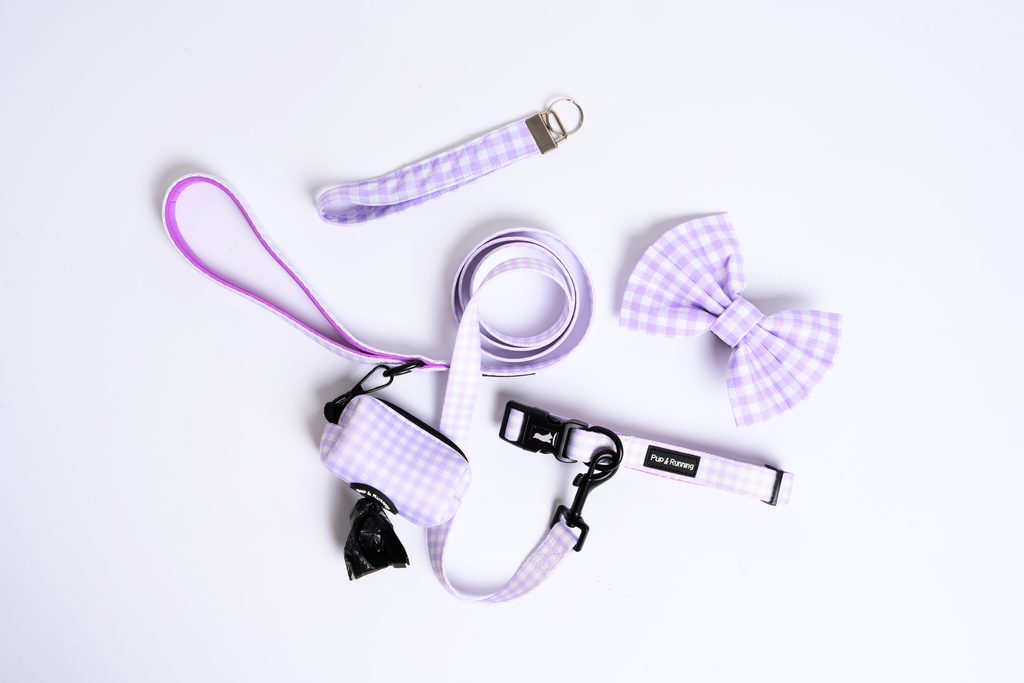 Match My Dog Set in Purple Gingham