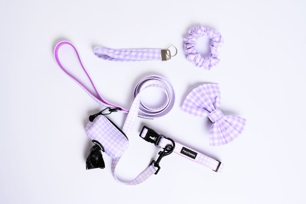 Match My Dog Set in Purple Gingham