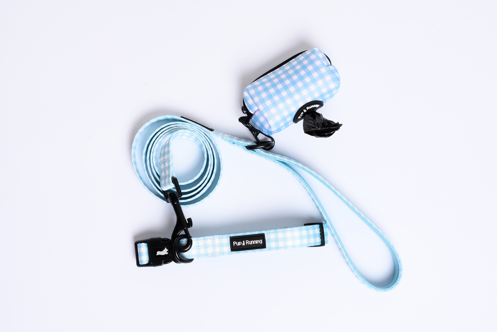 Blue Gingham Dog Walking Set